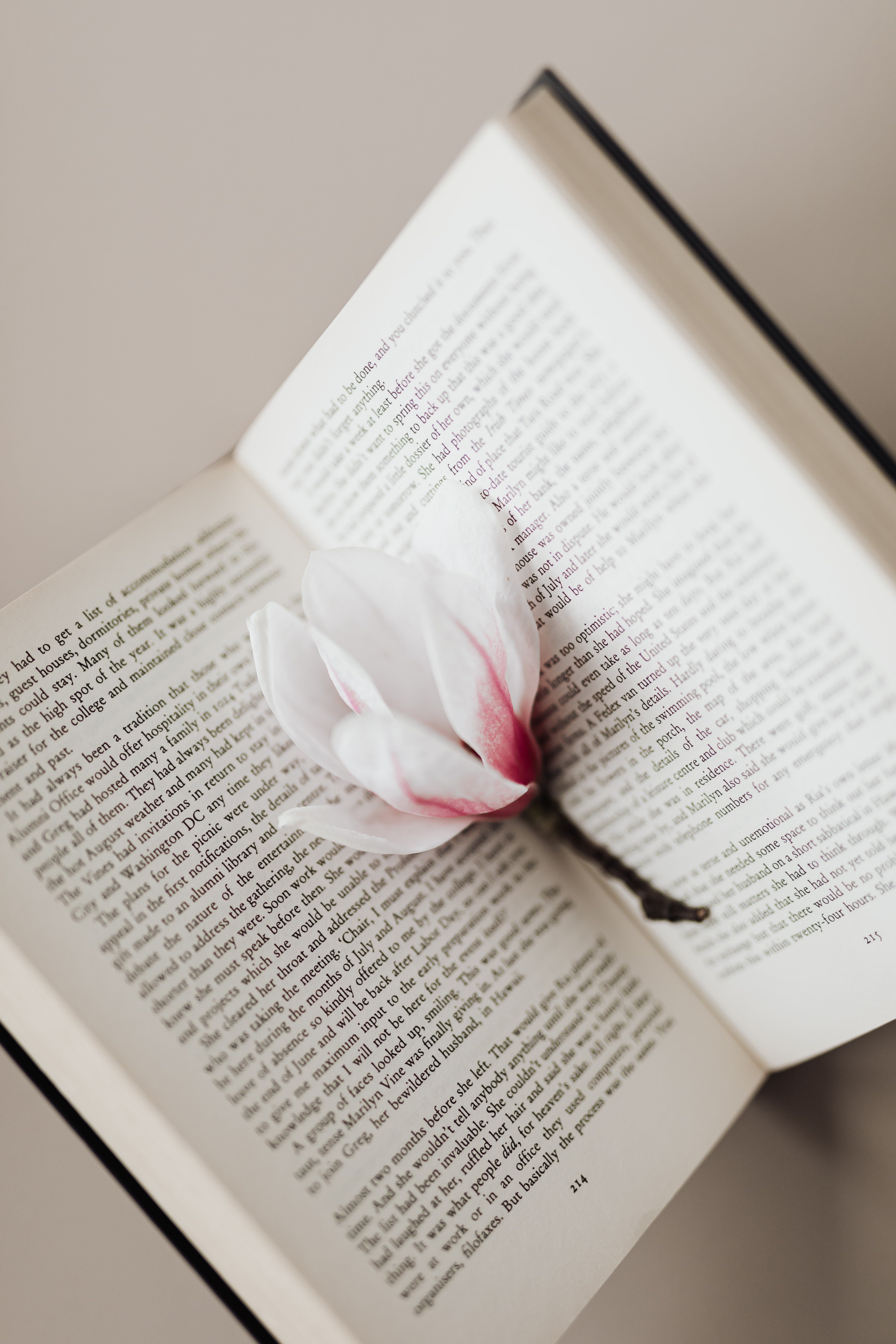 A White Flower on an Opened Book · Free