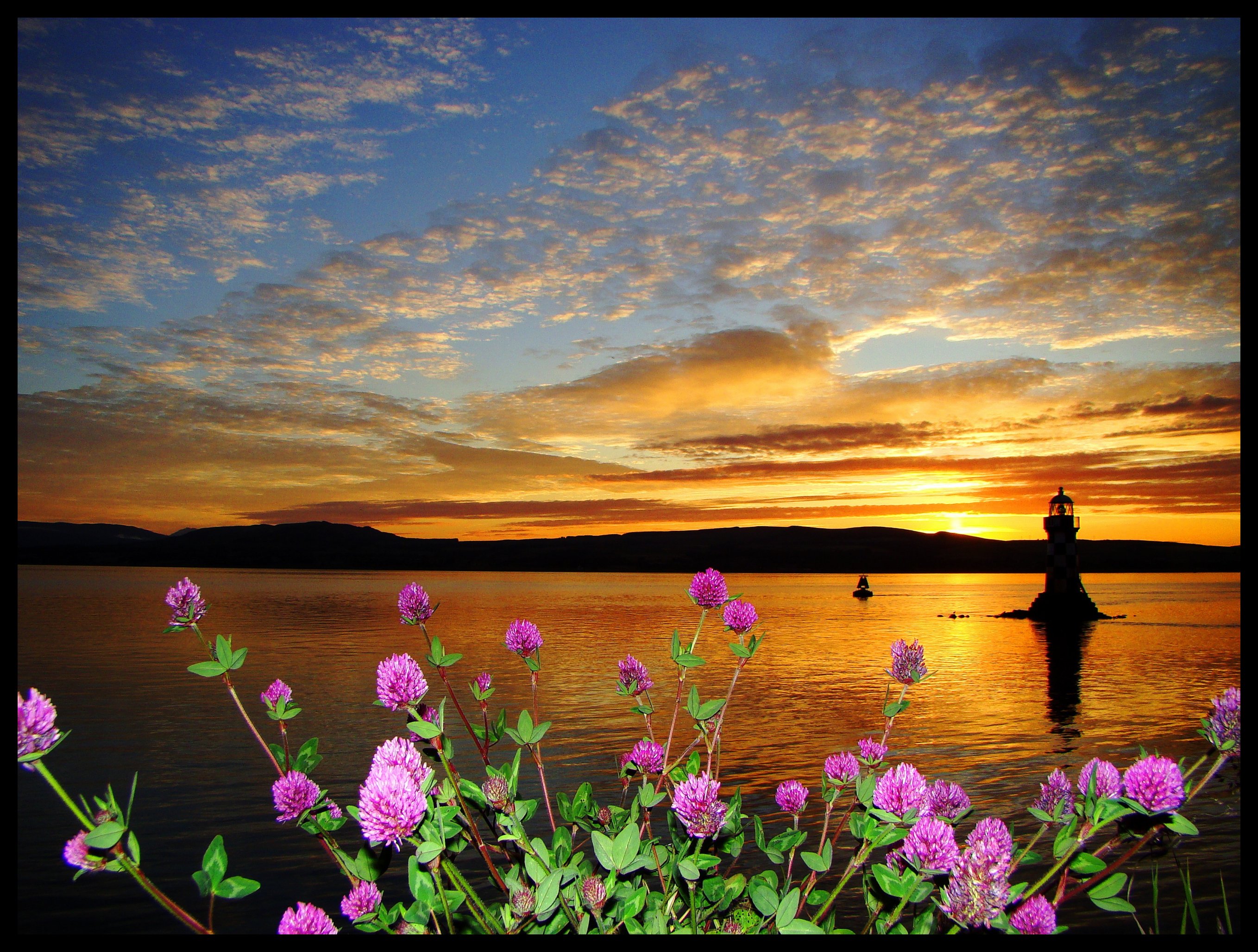 Wallpaper, sunlight, landscape, sunset, sea, water, nature, reflection, sky, Scotland, sunrise, calm, evening, morning, lighthouse, horizon, summer, spring, cloud, flower, dawn, colours, riverclyde, 100commentgroup, wildflower, computer wallpaper