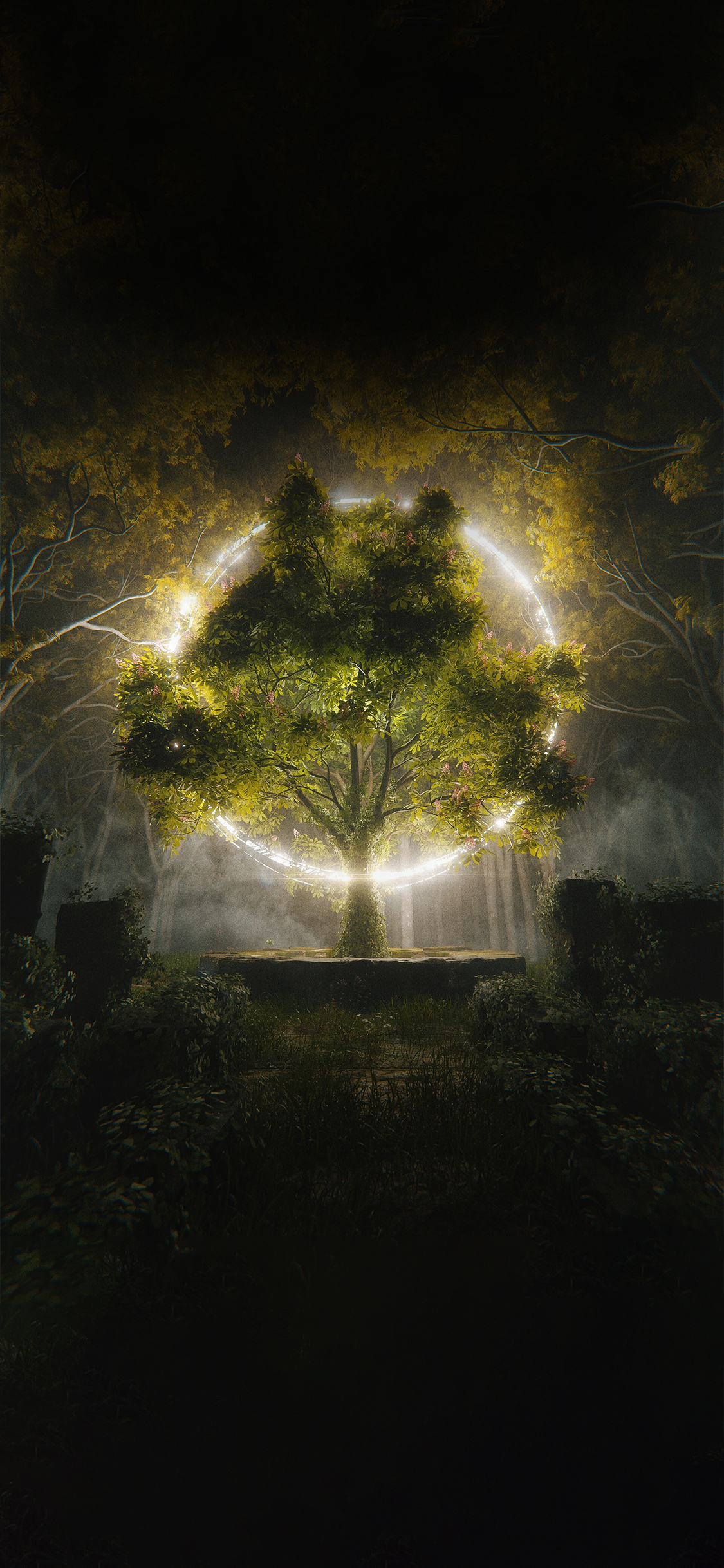 Cool iPhone Wallpaper HD Circle Tree