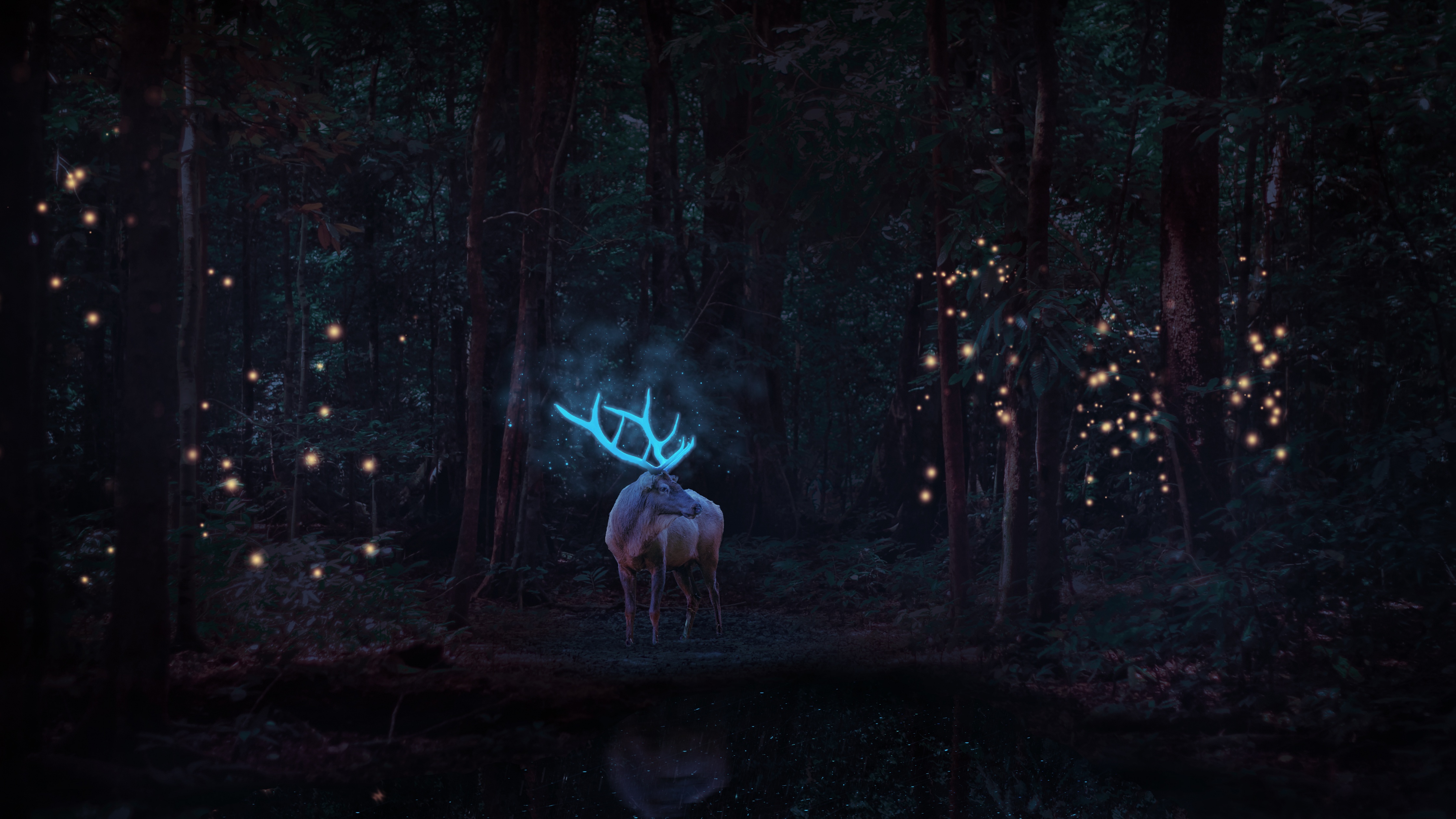 Stag Wallpaper 4K, Deer, Forest Trees, Animals