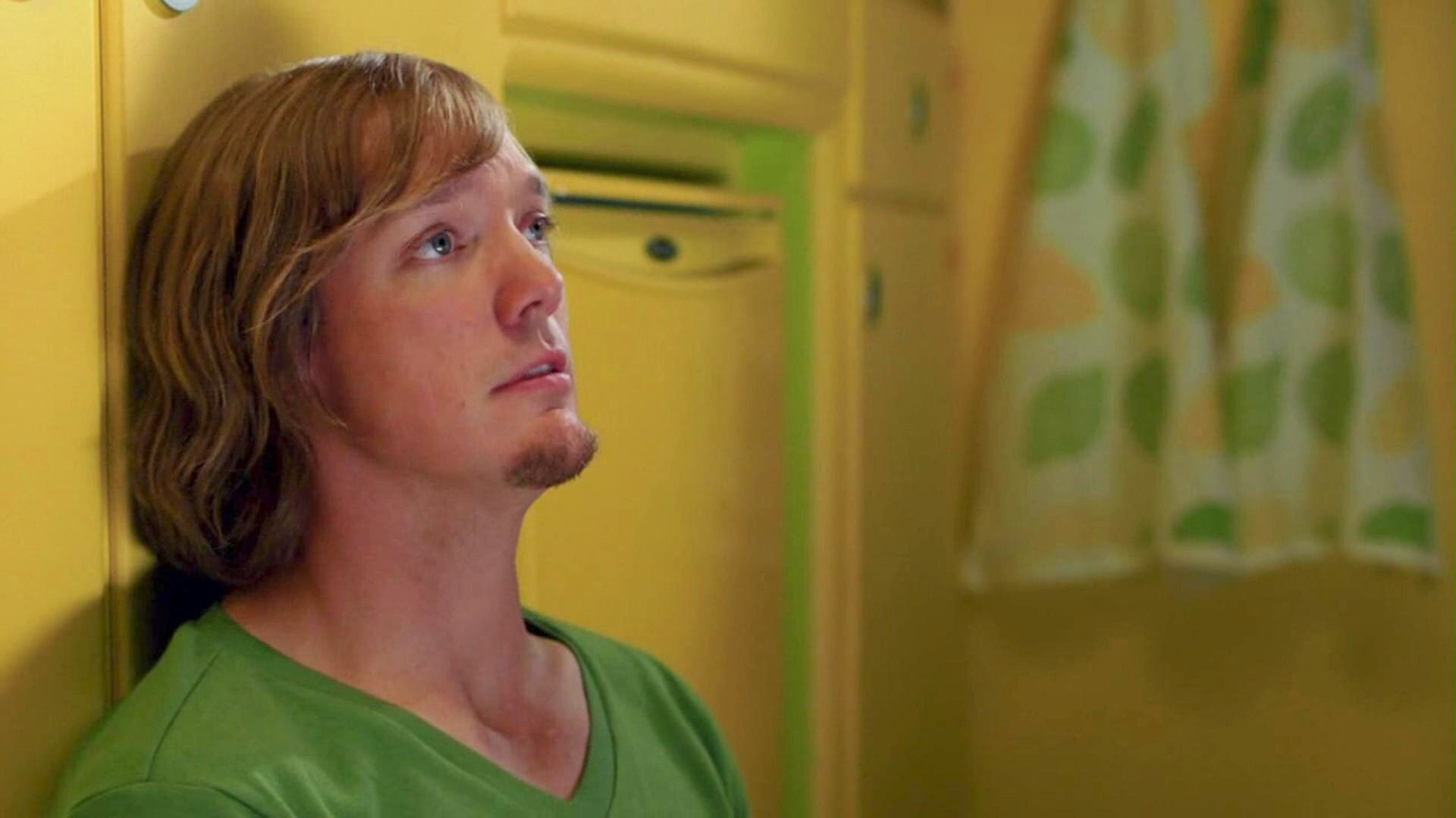 Matthew Lillard as Shaggy. Shaggy scooby doo, Shaggy and scooby, Shaggy and velma