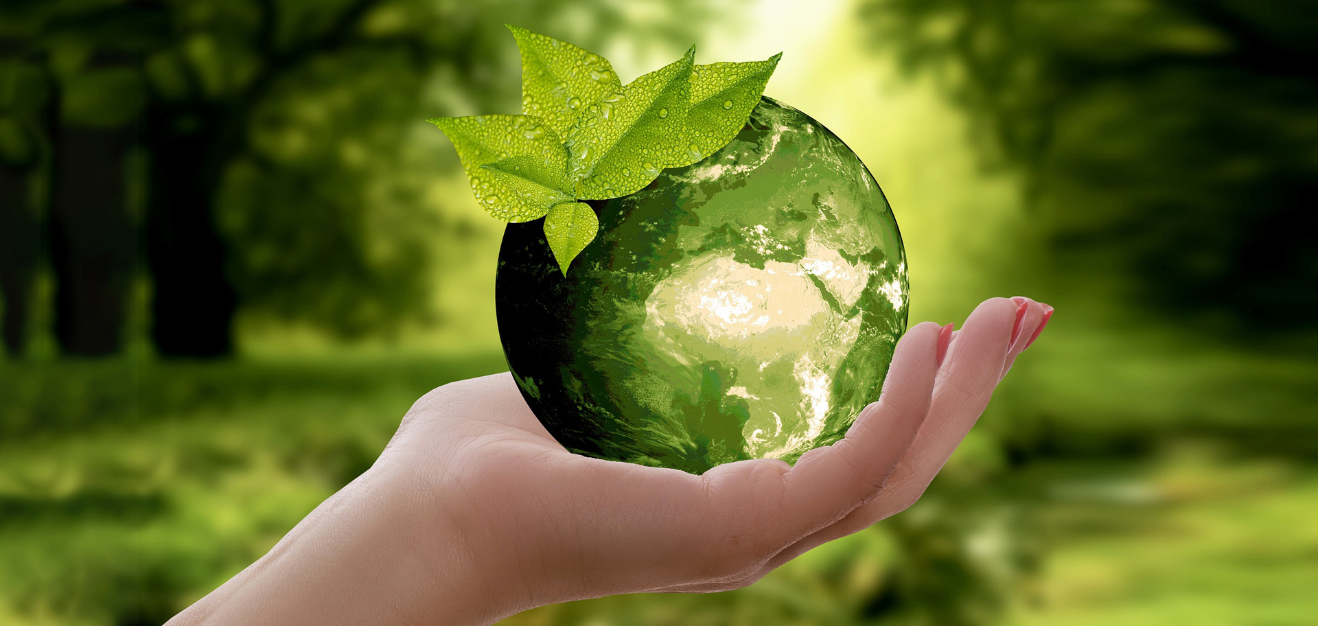 Earth Day 2023: Invest in Our Planet