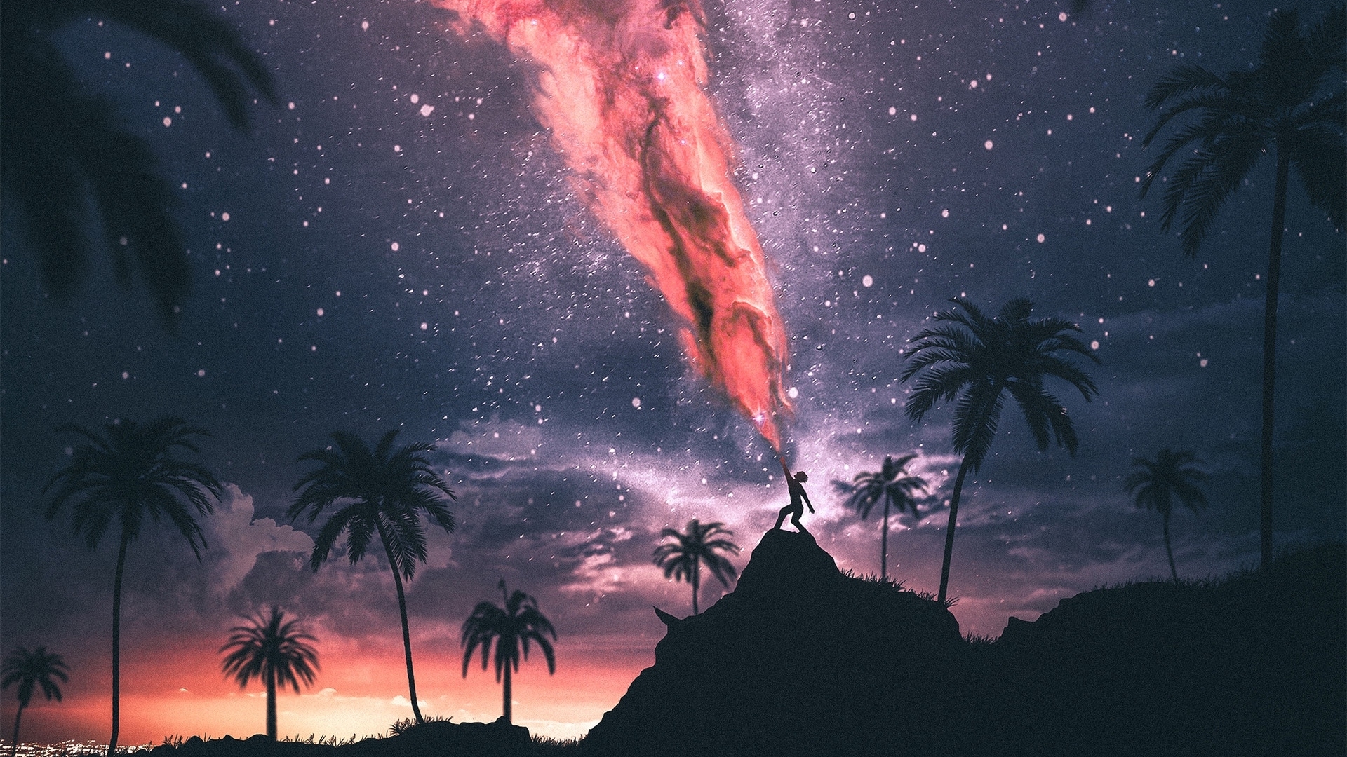 palm tree HD wallpaper, background