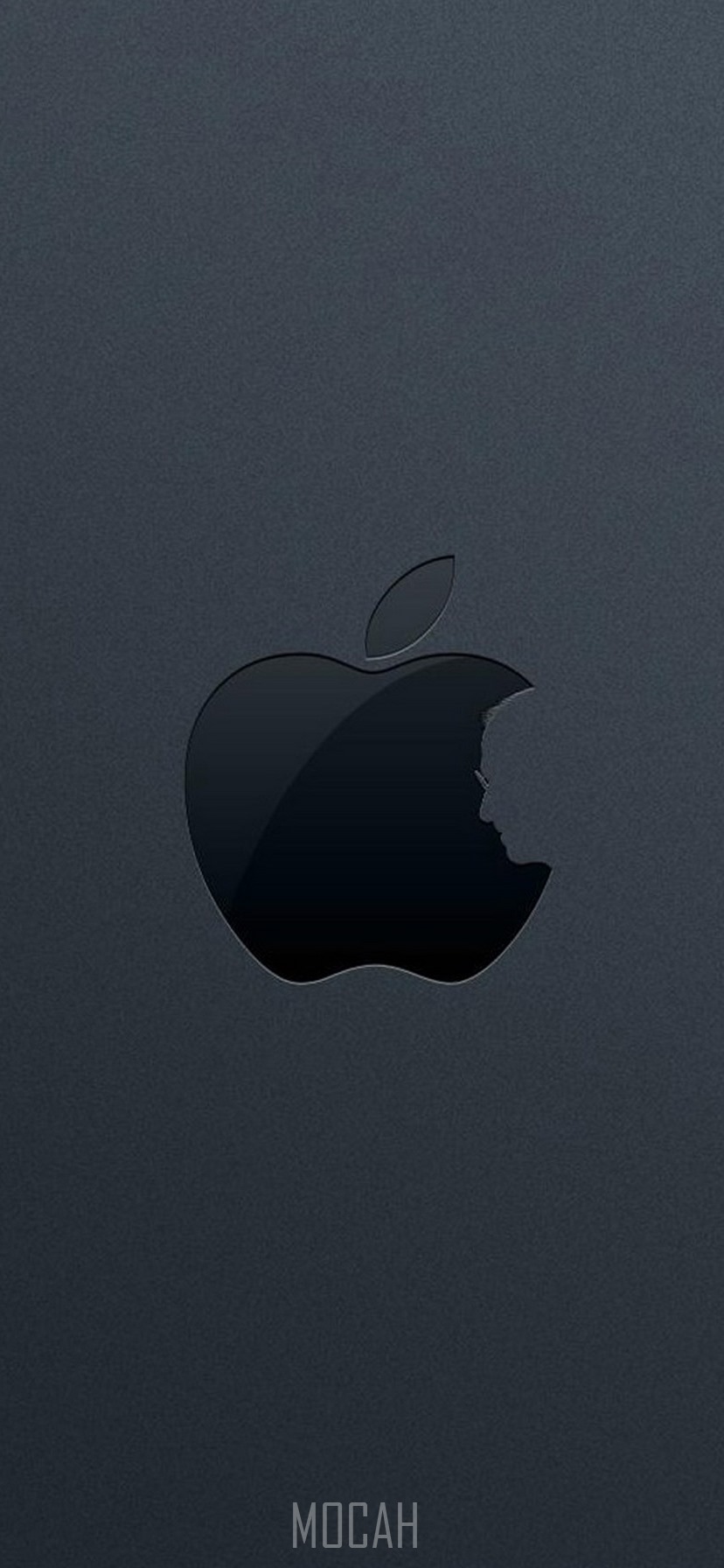 Apple, Black, Logo, Atmosphere, Tree, Apple iPhone 11 background hd, 828x1792 Gallery HD Wallpaper