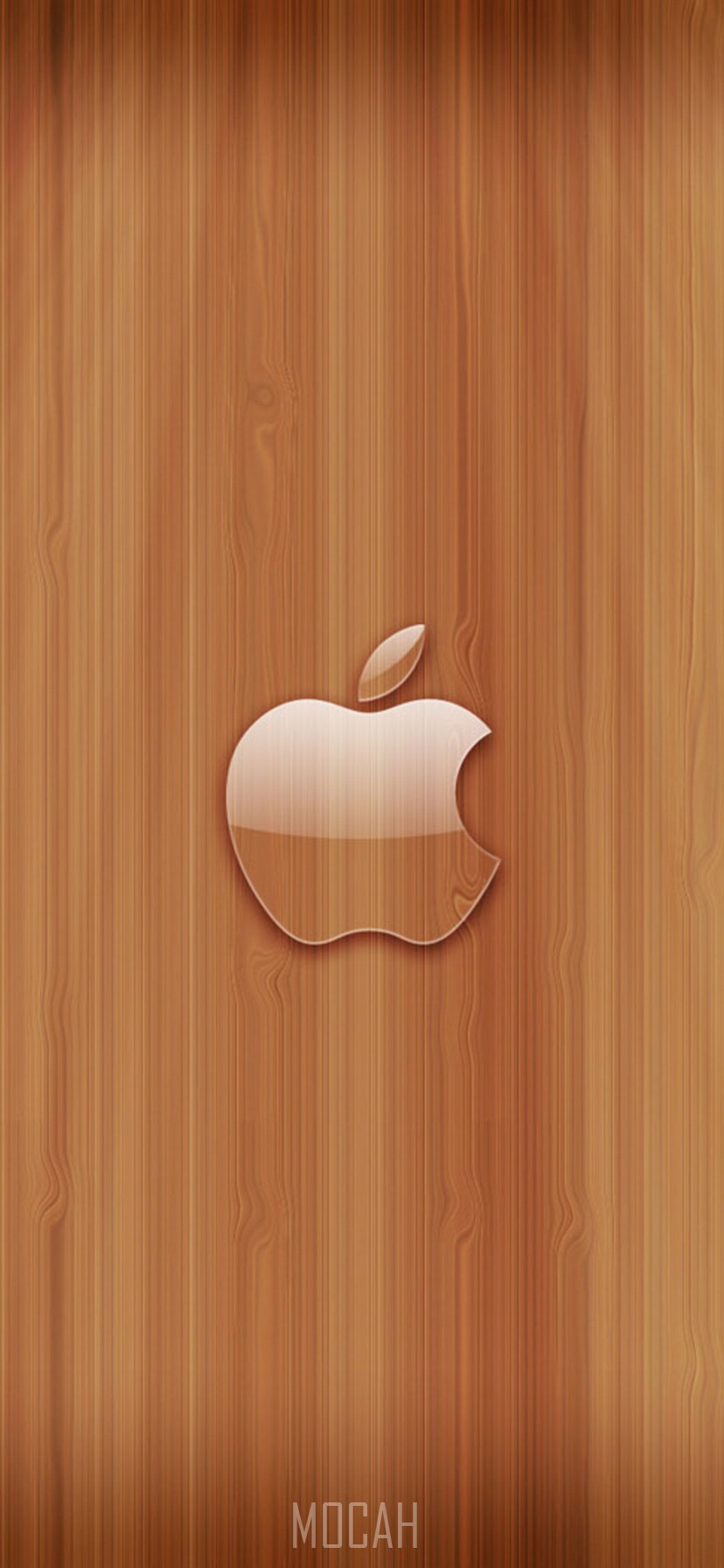 Apple, Wood, Logo, Plywood, Graphics, Apple iPhone 11 wallpaper HD download, 828x1792 Gallery HD Wallpaper