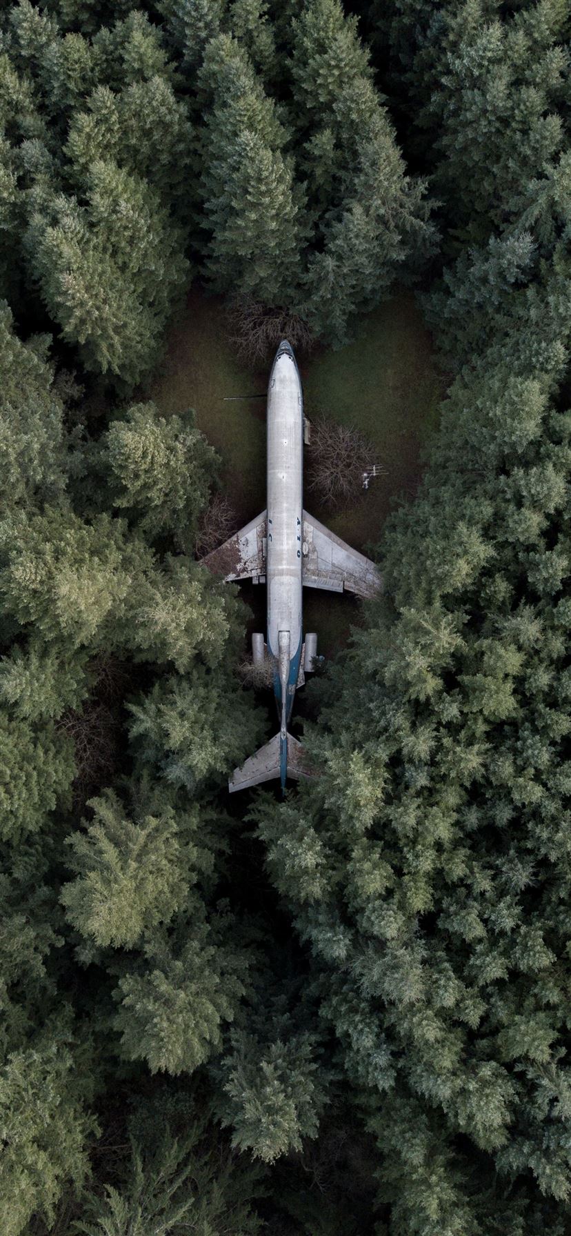 Plane Wallpaper