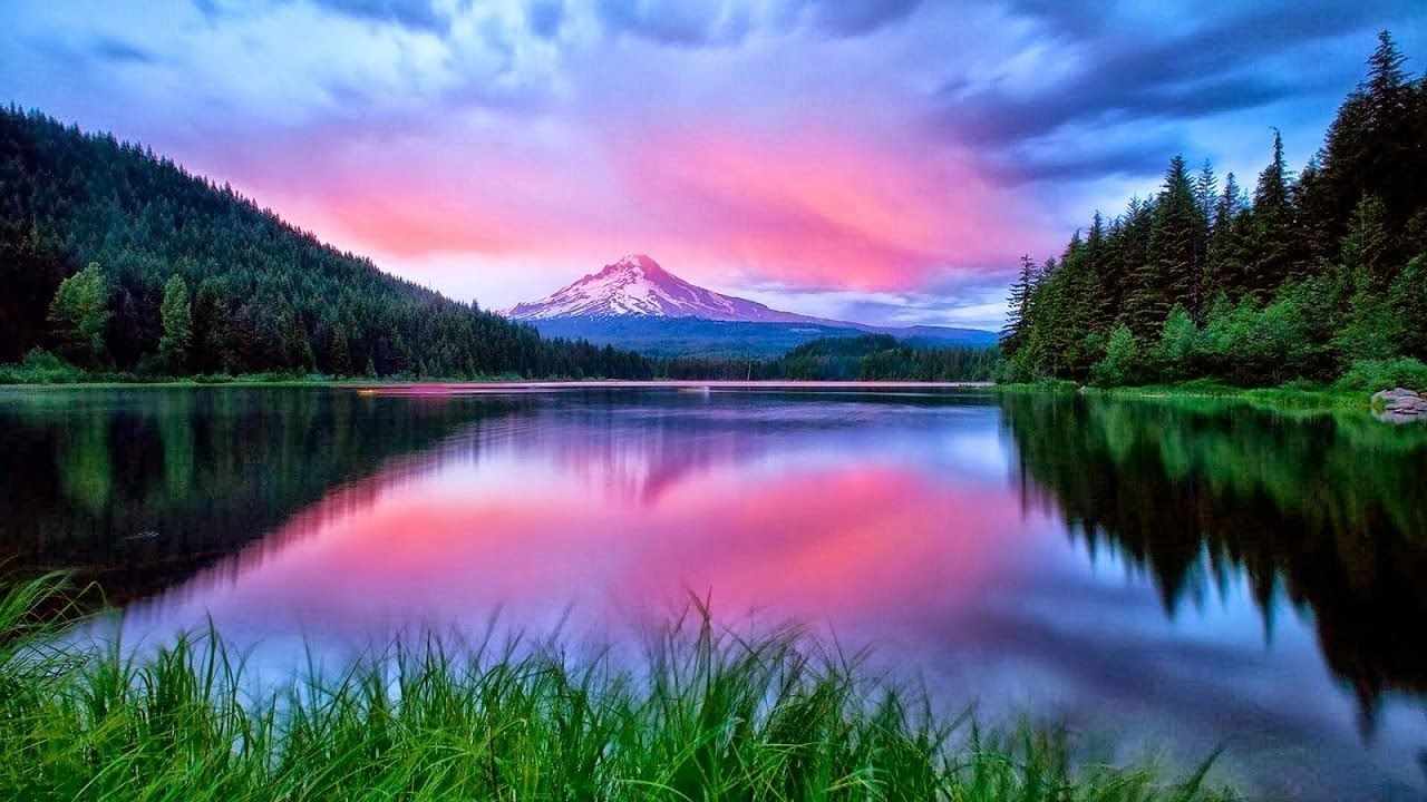 Pretty Nature Wallpaper