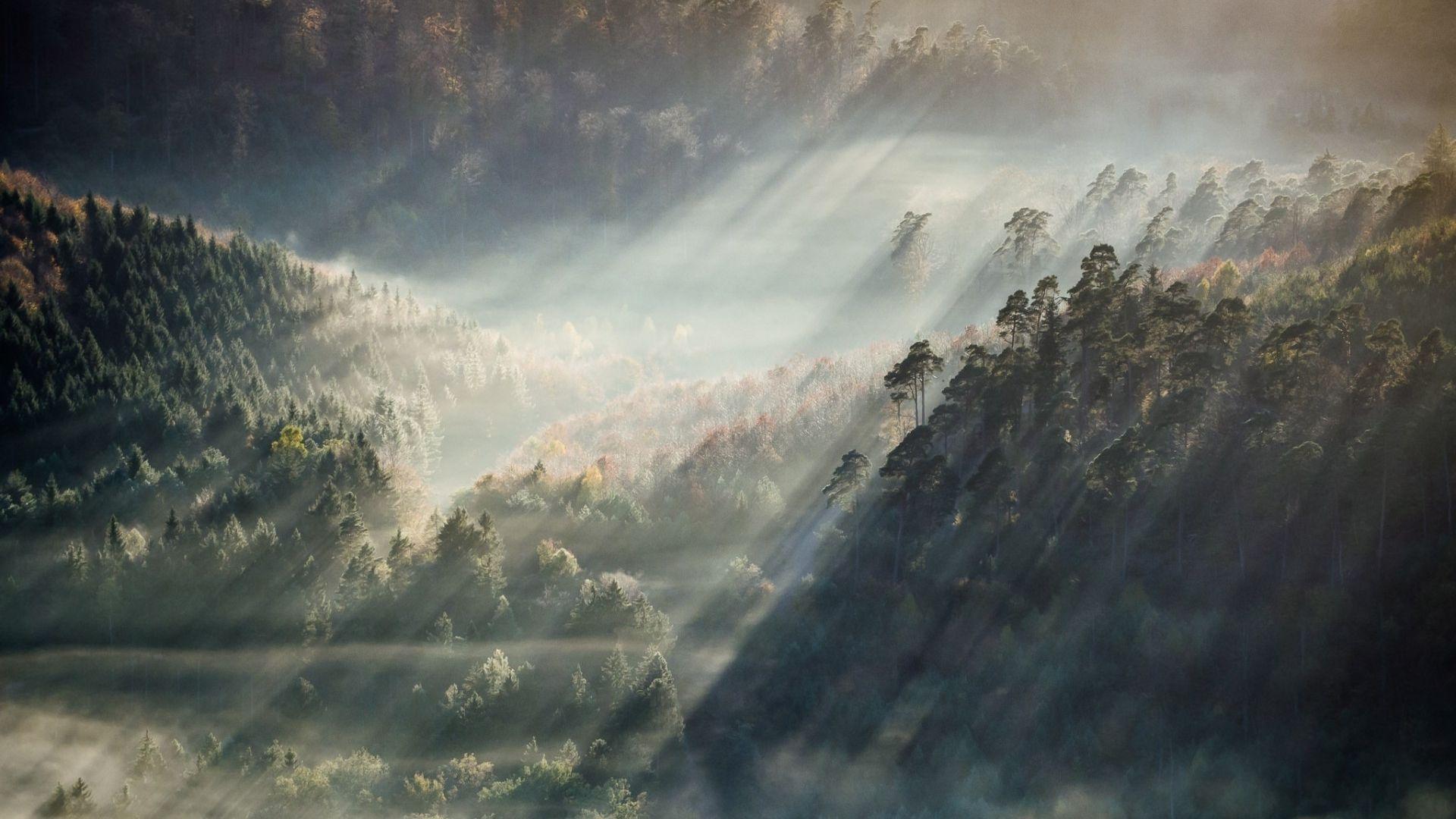 Nature Aesthetic Desktop Wallpaper HD