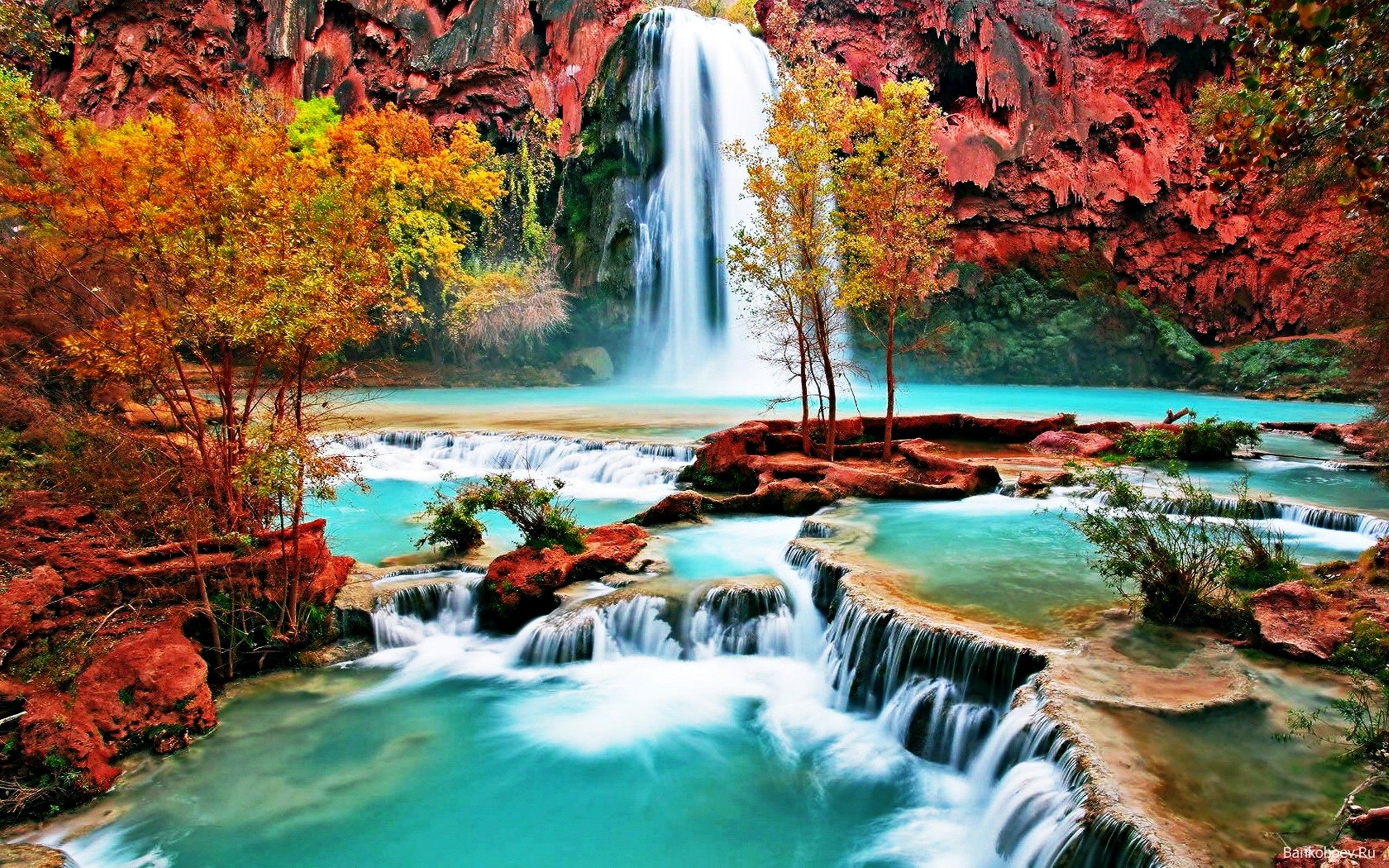 Pretty Nature Wallpaper