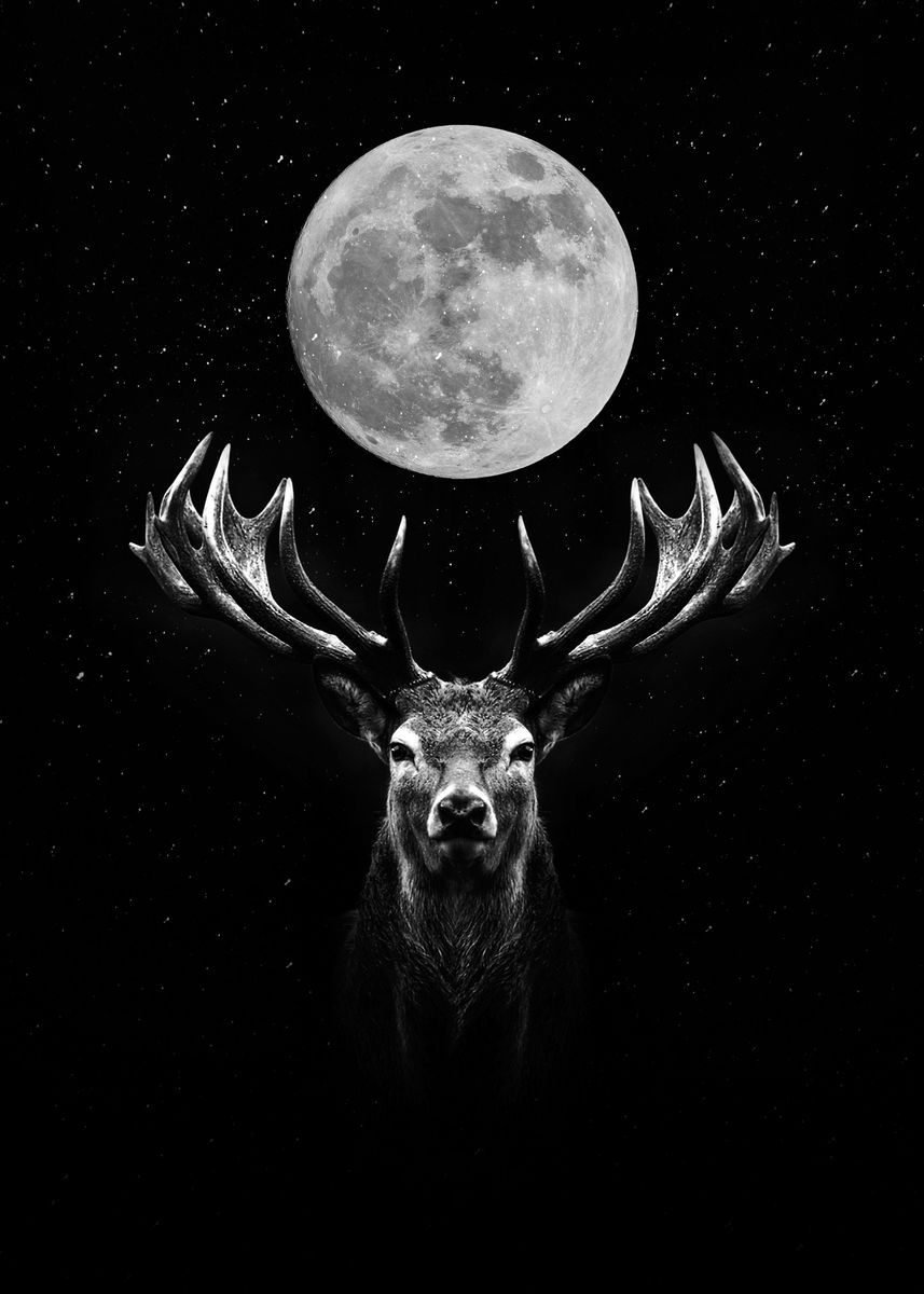Black Deer Wallpaper