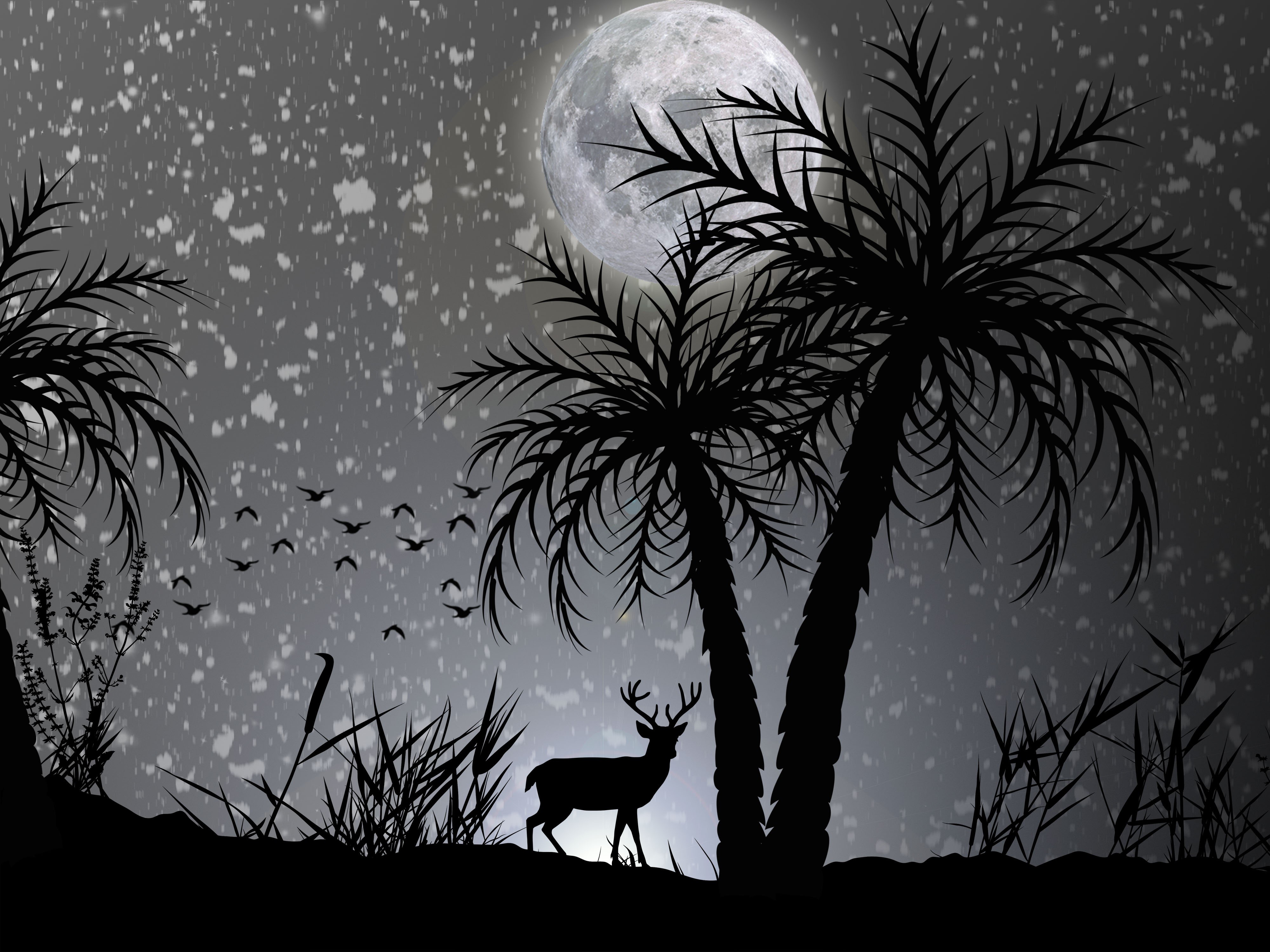 Wallpaper / reindeer, deer, dark, moon, minimalism, minimalist, hd, monochrome, black and white, 4k free download