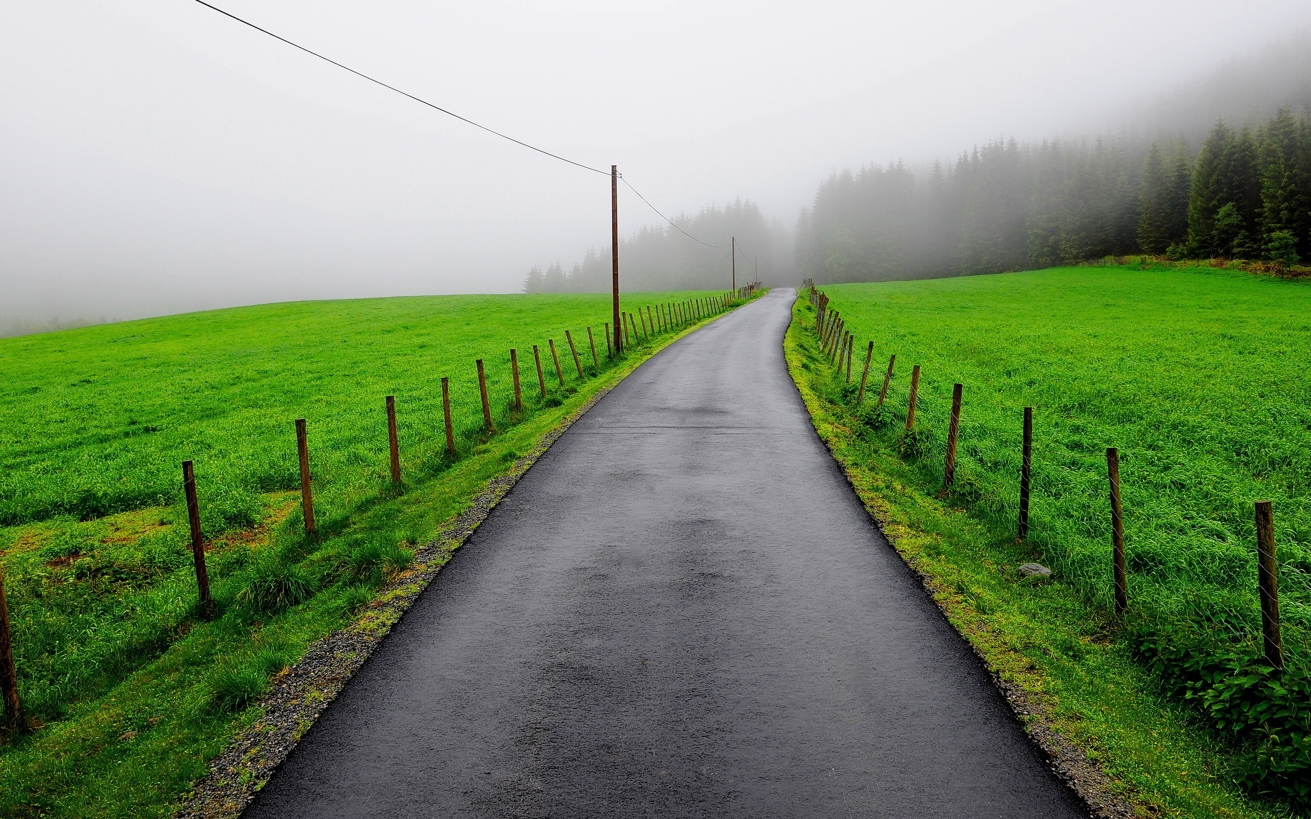 Wallpaper, asphalt, wet, road, grass, protection, fog, cloudy 2560x1600