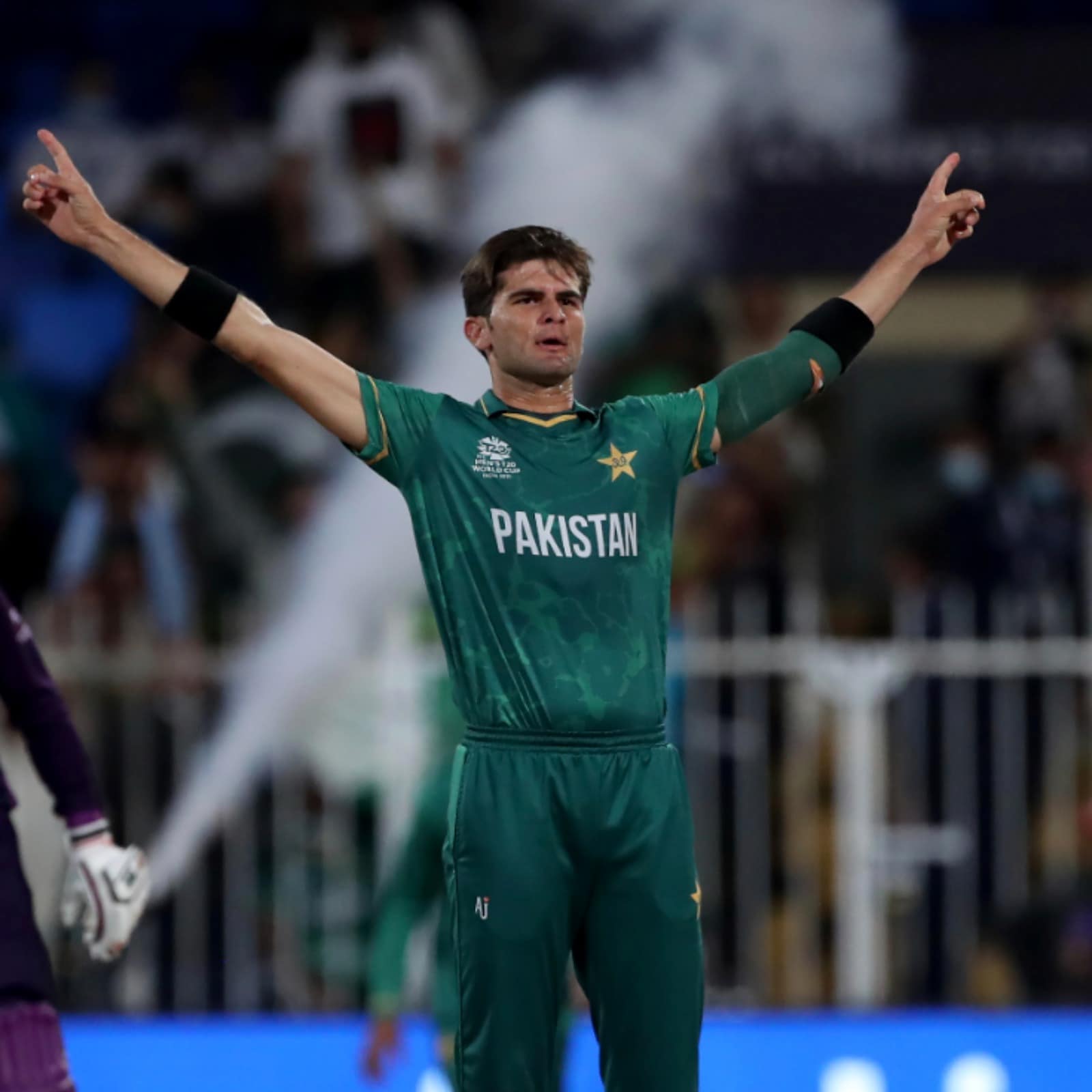 T20 World Cup 2021. Battle with Shaheen Afridi in Powerplay Will be Crucial: Aaron Finch