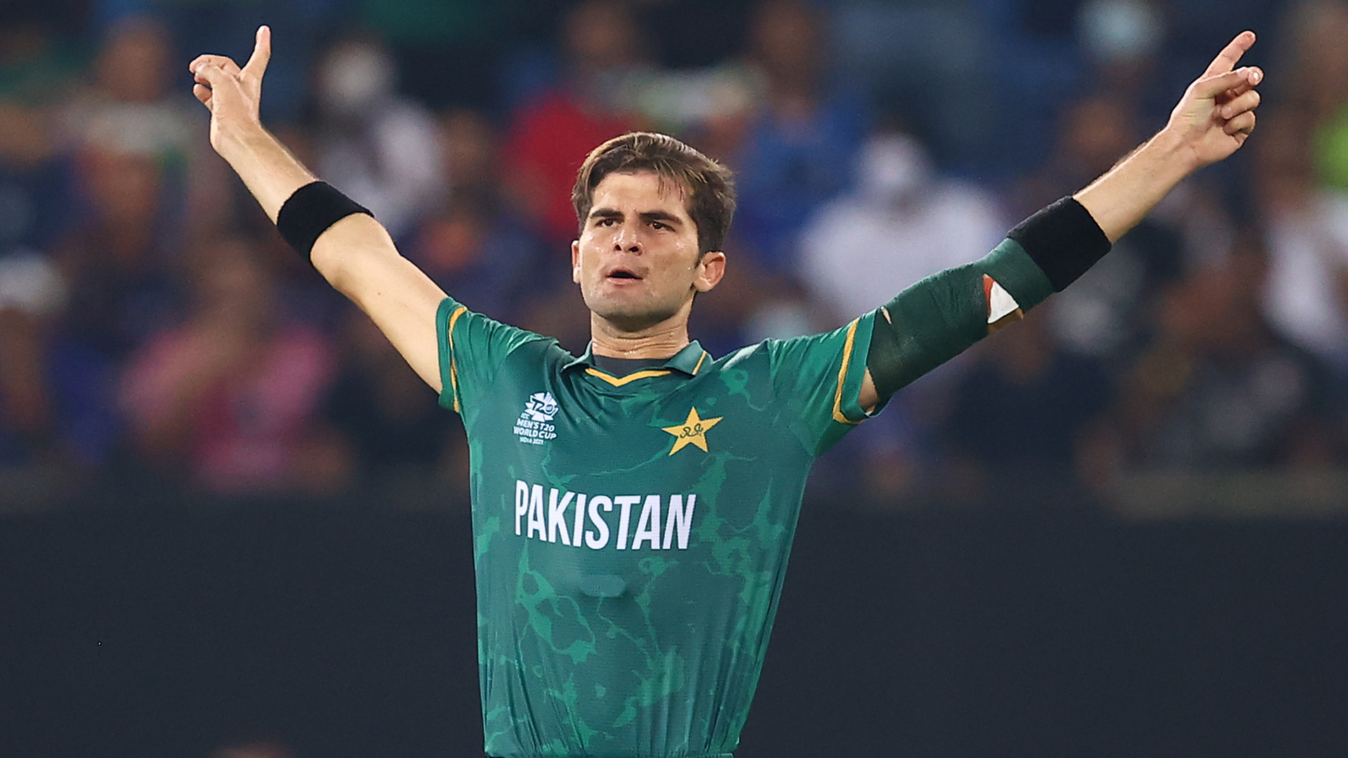 Shaheen Afridi Wallpaper