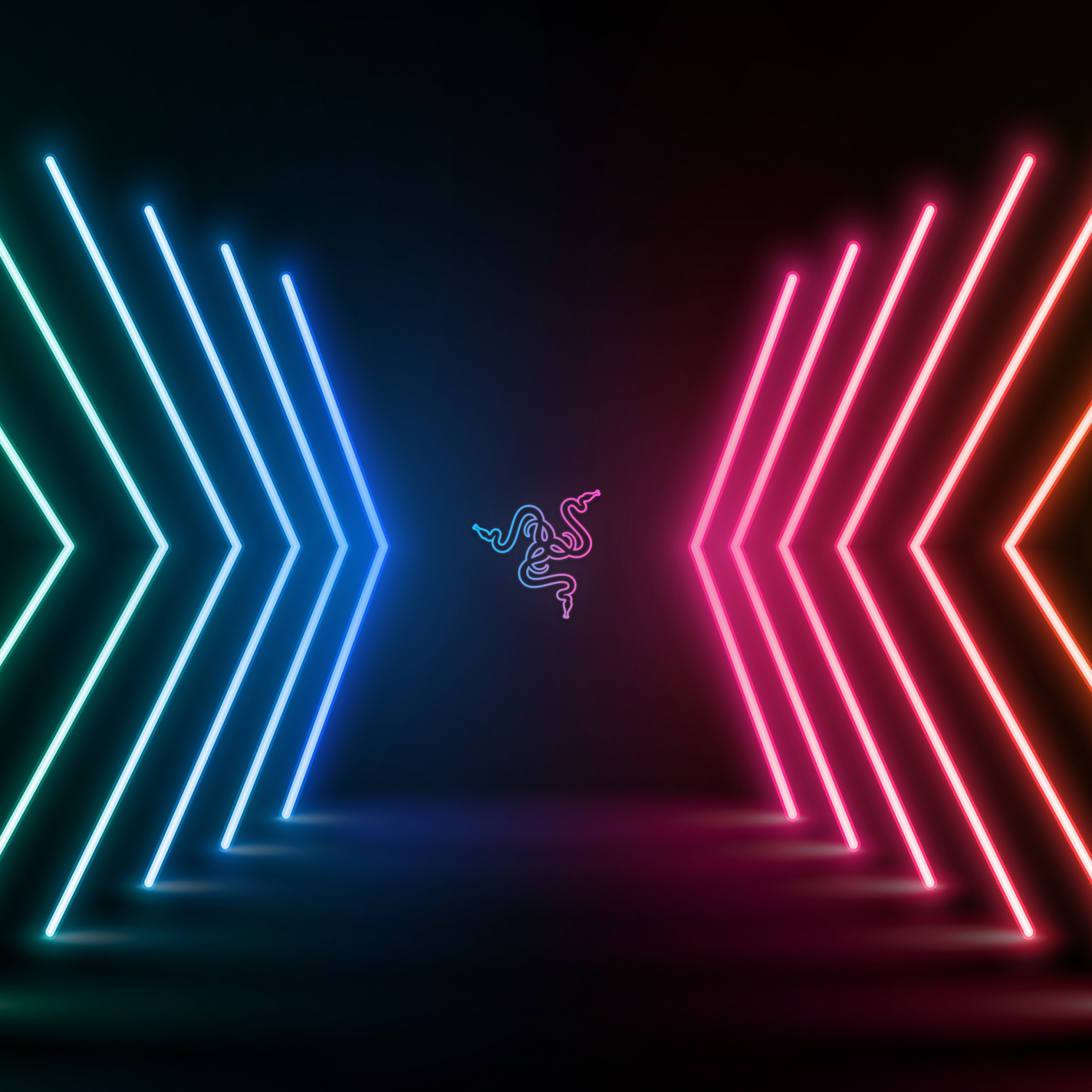Razer Wallpaper 4K, Neon Lights, Colorful