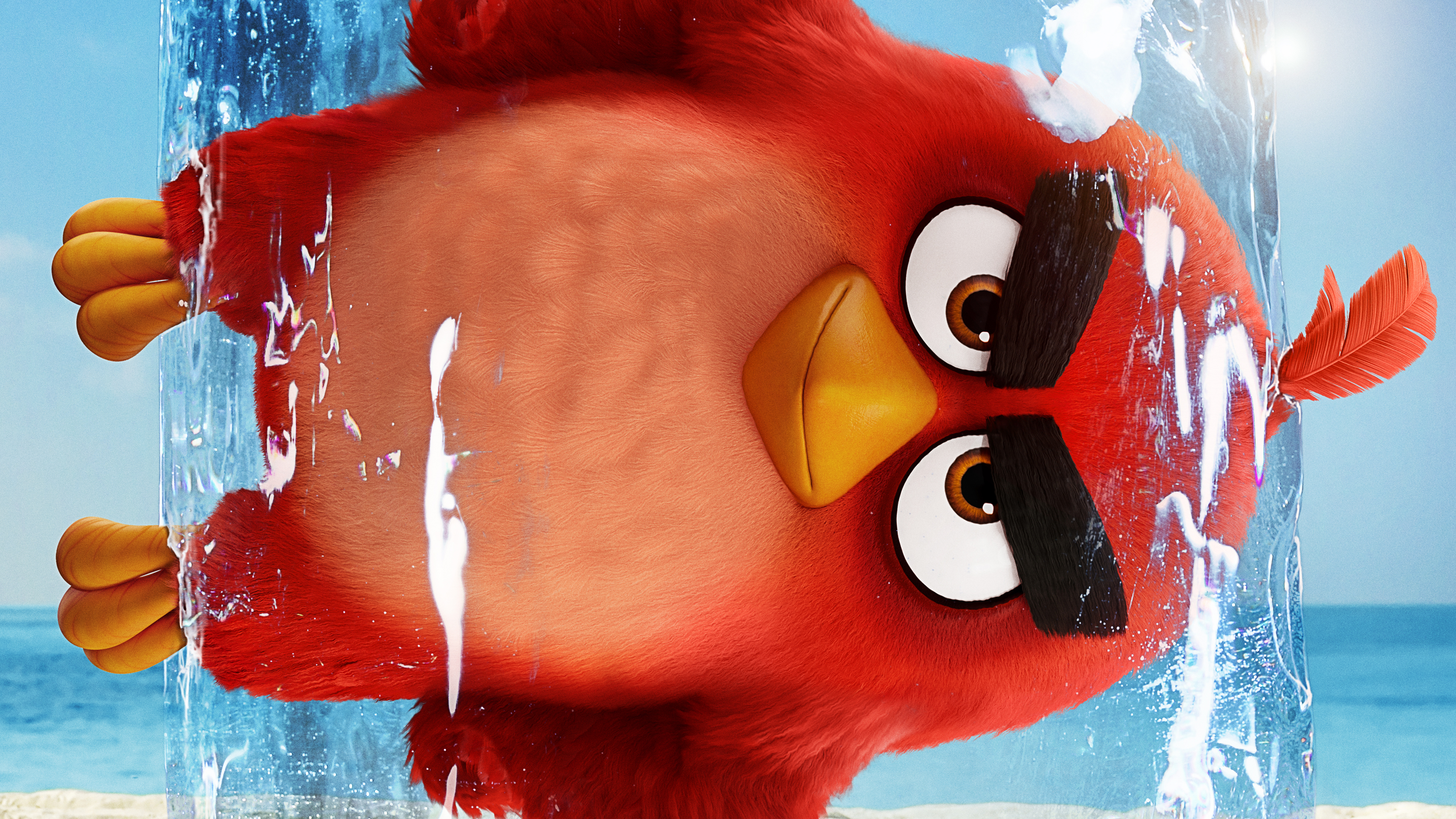 Angry Birds Movie Red, 8K Gallery HD Wallpaper