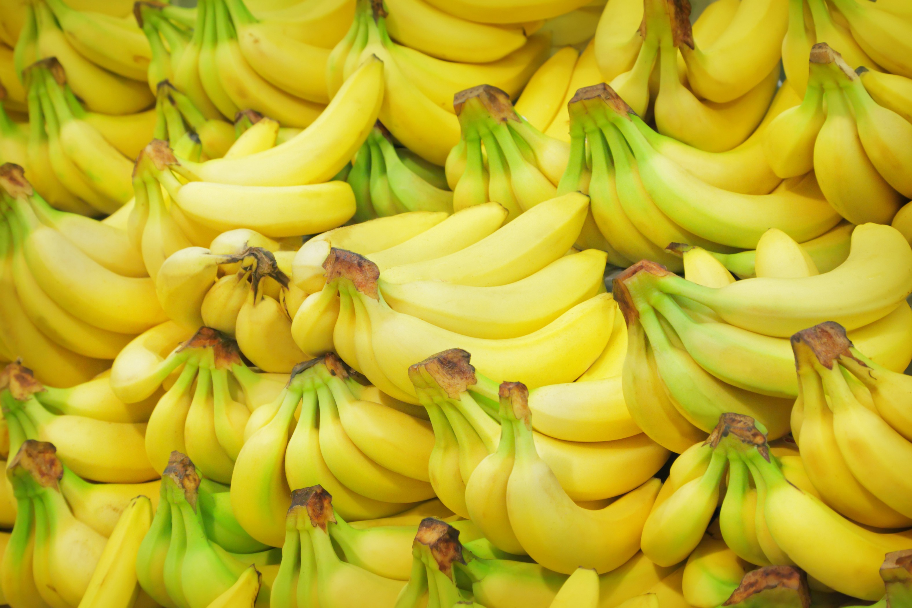 Wallpaper, food, fruit, yellow, bananas, flower, produce, land plant, flowering plant, banana family, cooking plantain 3150x2100