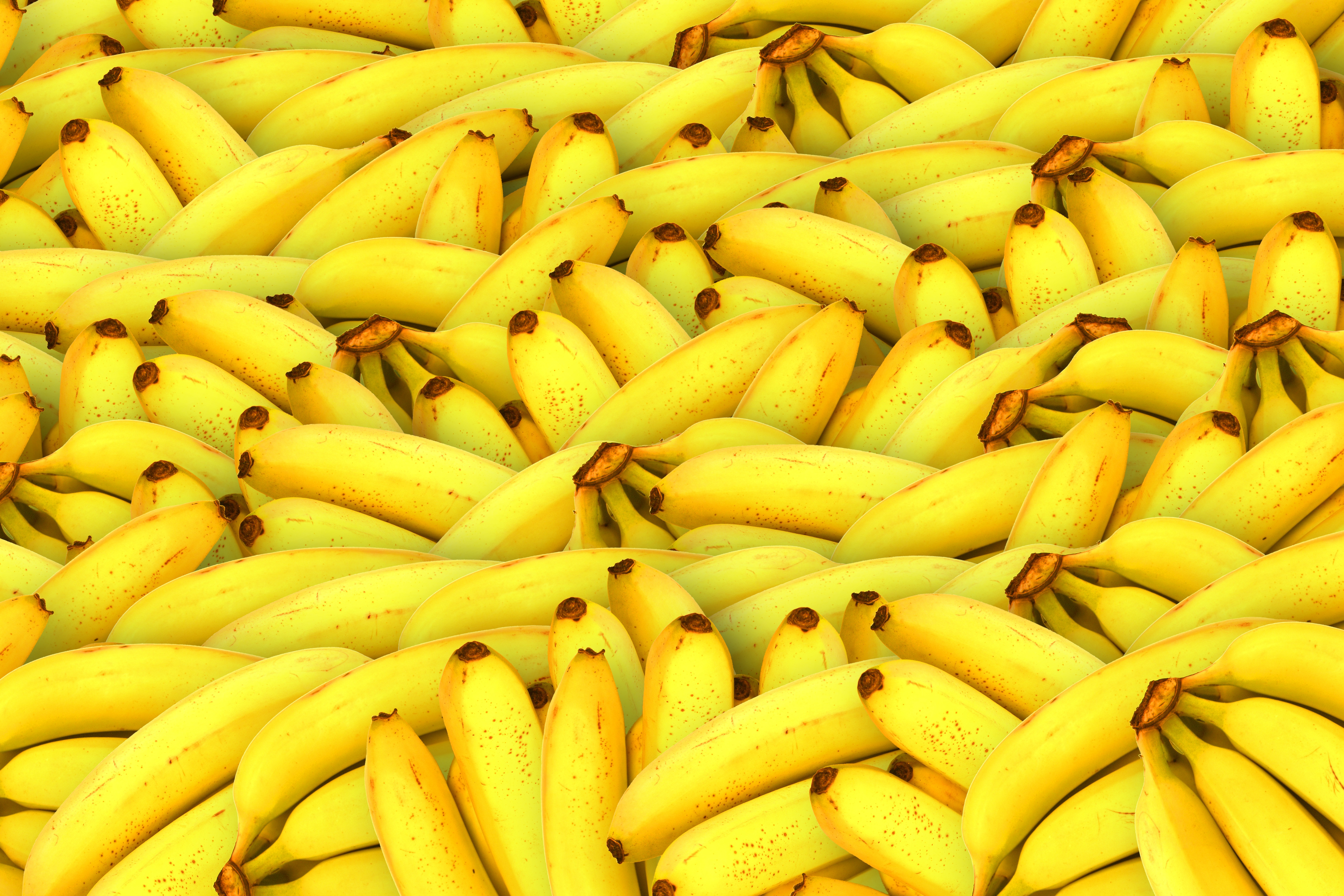 Wallpaper, food, fruit, bananas, many, produce, land plant, flowering plant, banana family, cooking plantain 6000x4000