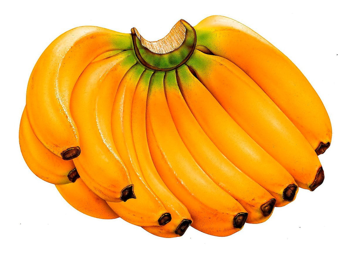 Banana wallpaper HD. Download Free background