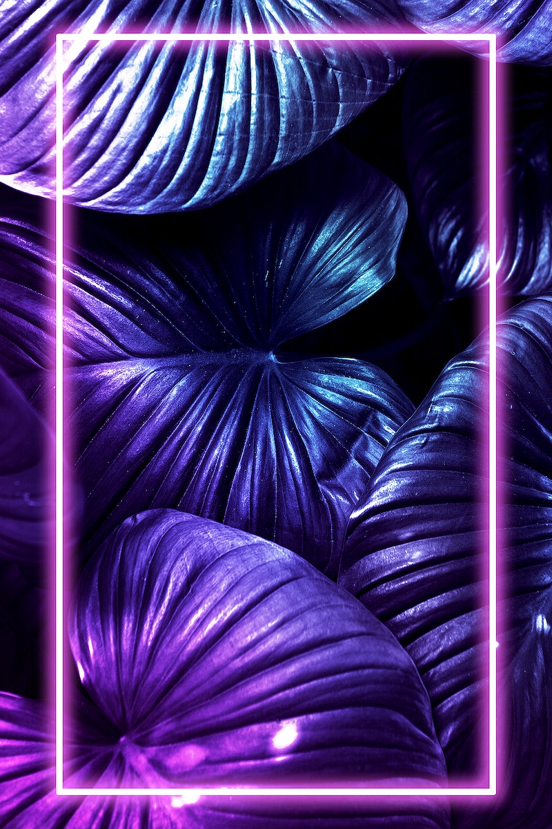 Neon Tropical Image Wallpaper