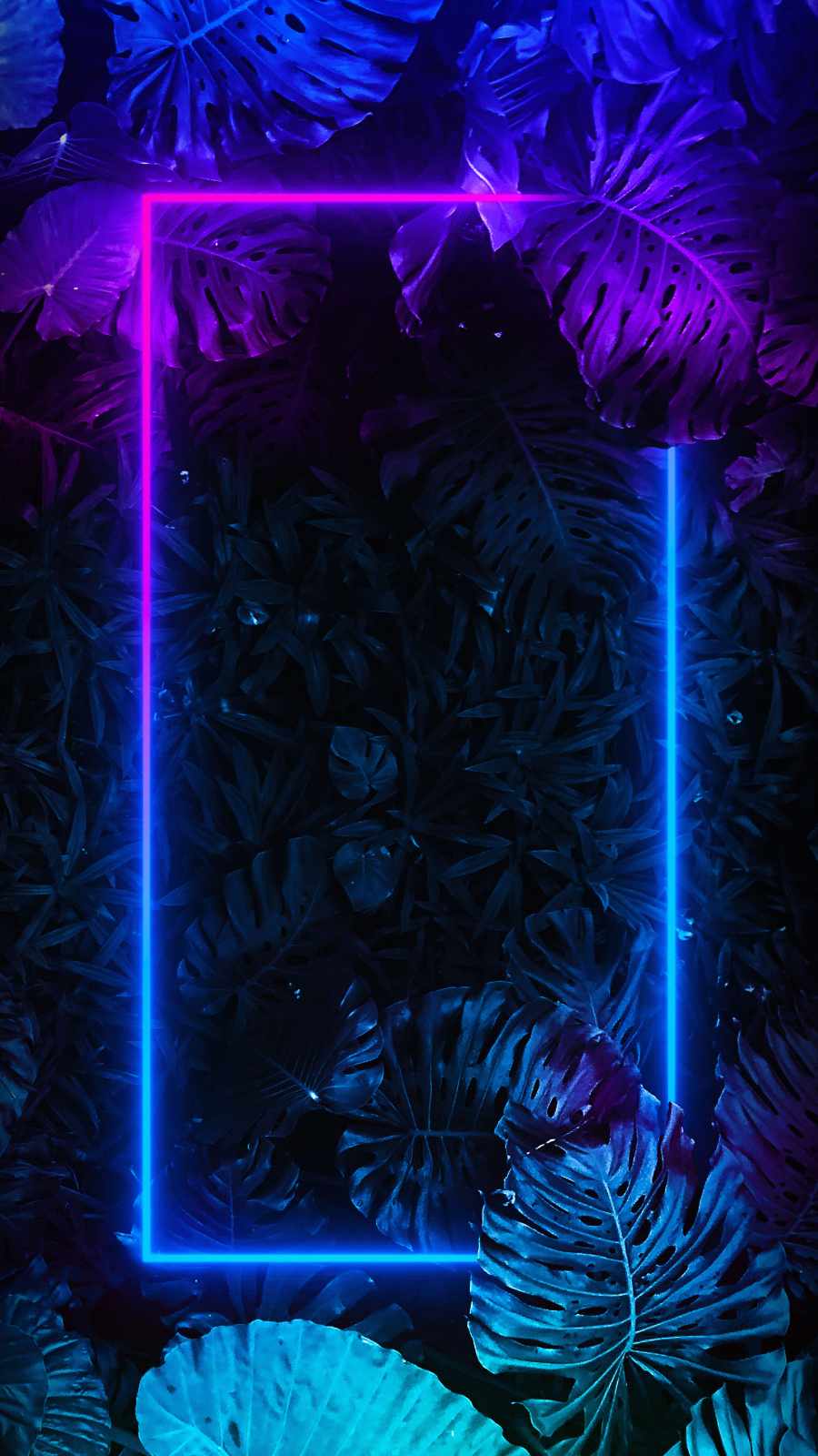 Neon Foliage Square IPhone Wallpaper Wallpaper, iPhone Wallpaper
