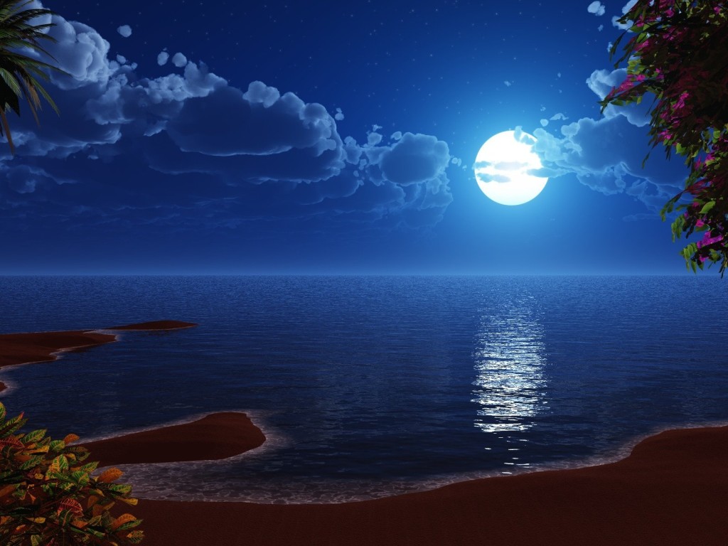 Beach At Night Wallpaper
