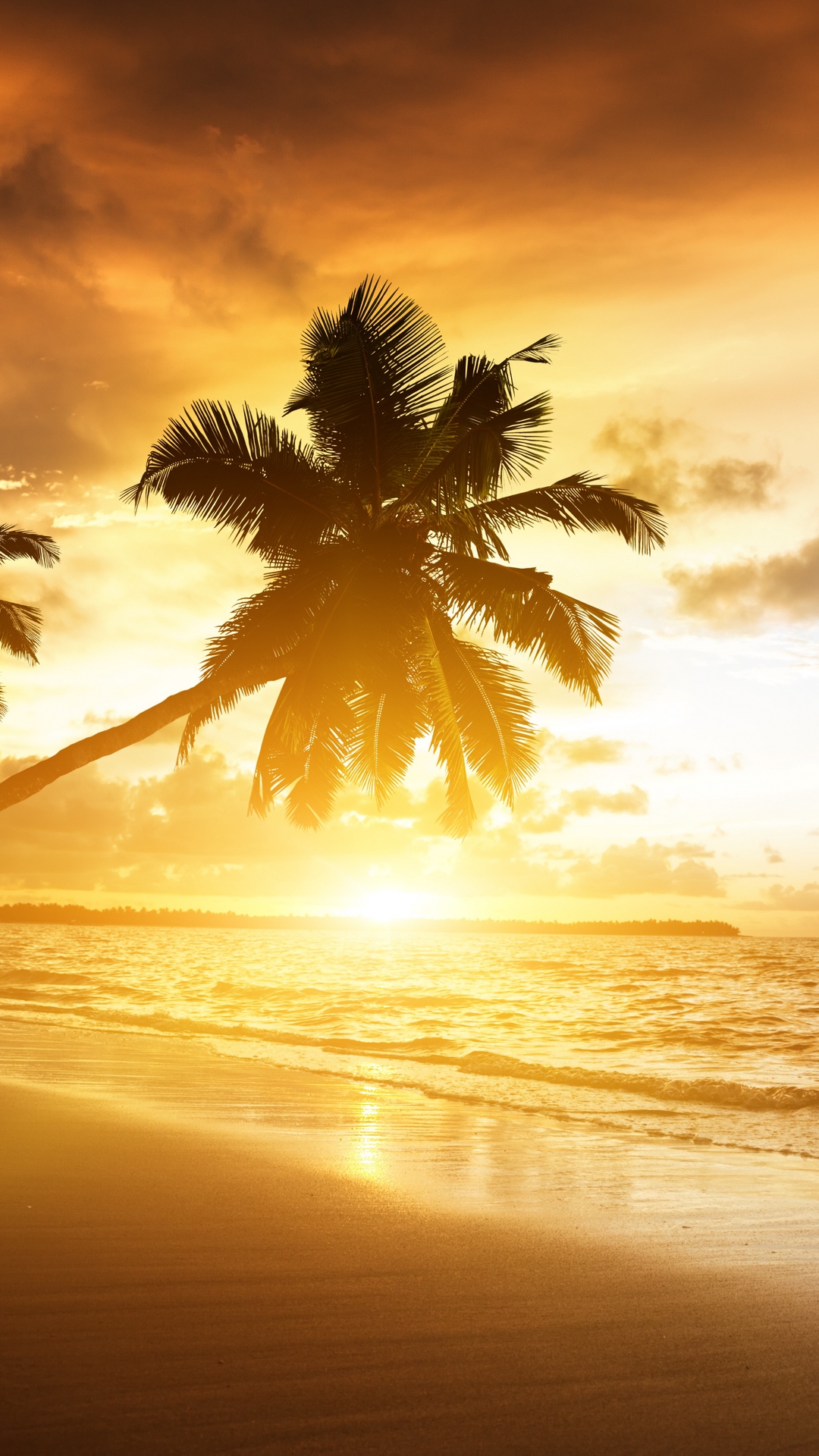 Beach Tropics Sea Sand Palm Trees Sunset Evening Wallpaper 1080– X1920 Out Wallpaper