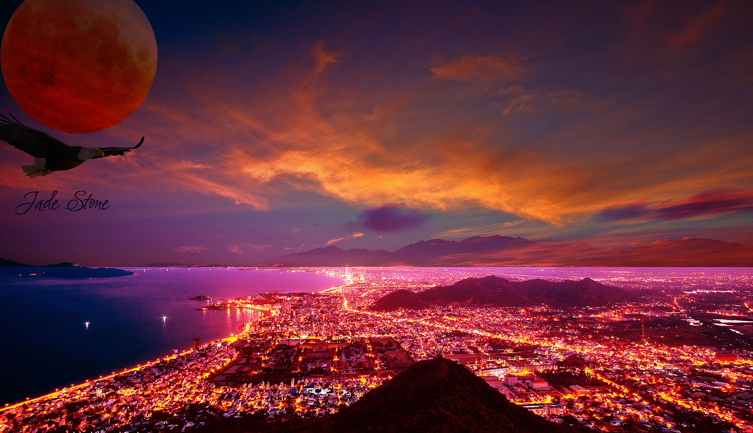 night, city, beach Gallery HD Wallpaper