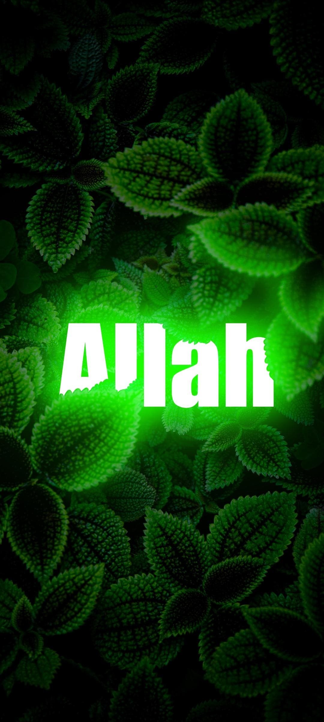 Allah is watching Wallpaper Download