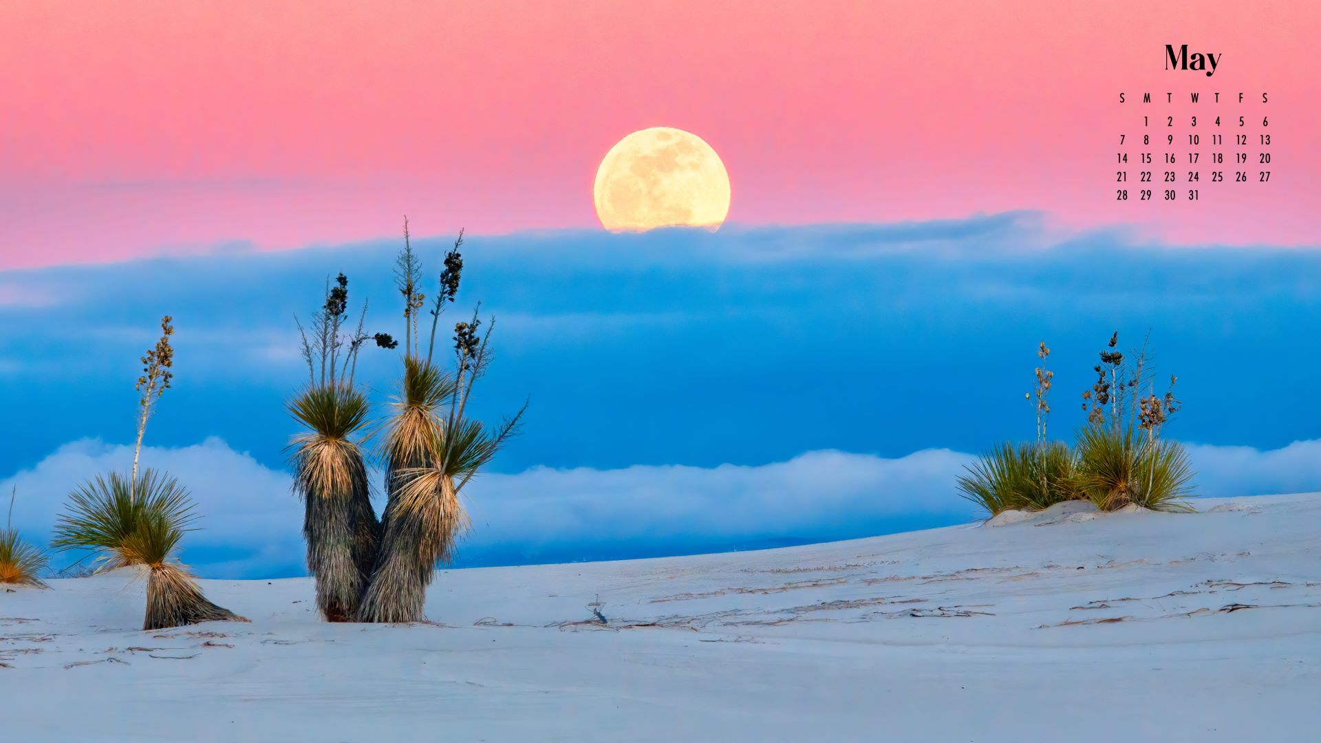 Free May 2023 Calendar Wallpaper