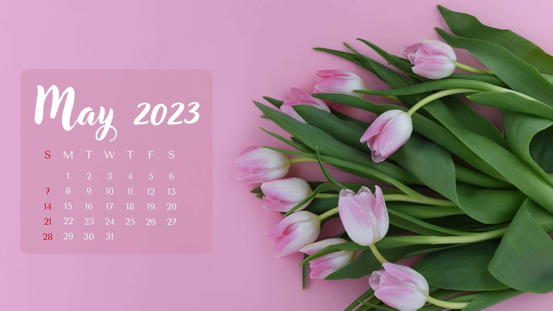 May 2023 Calendar Wallpaper