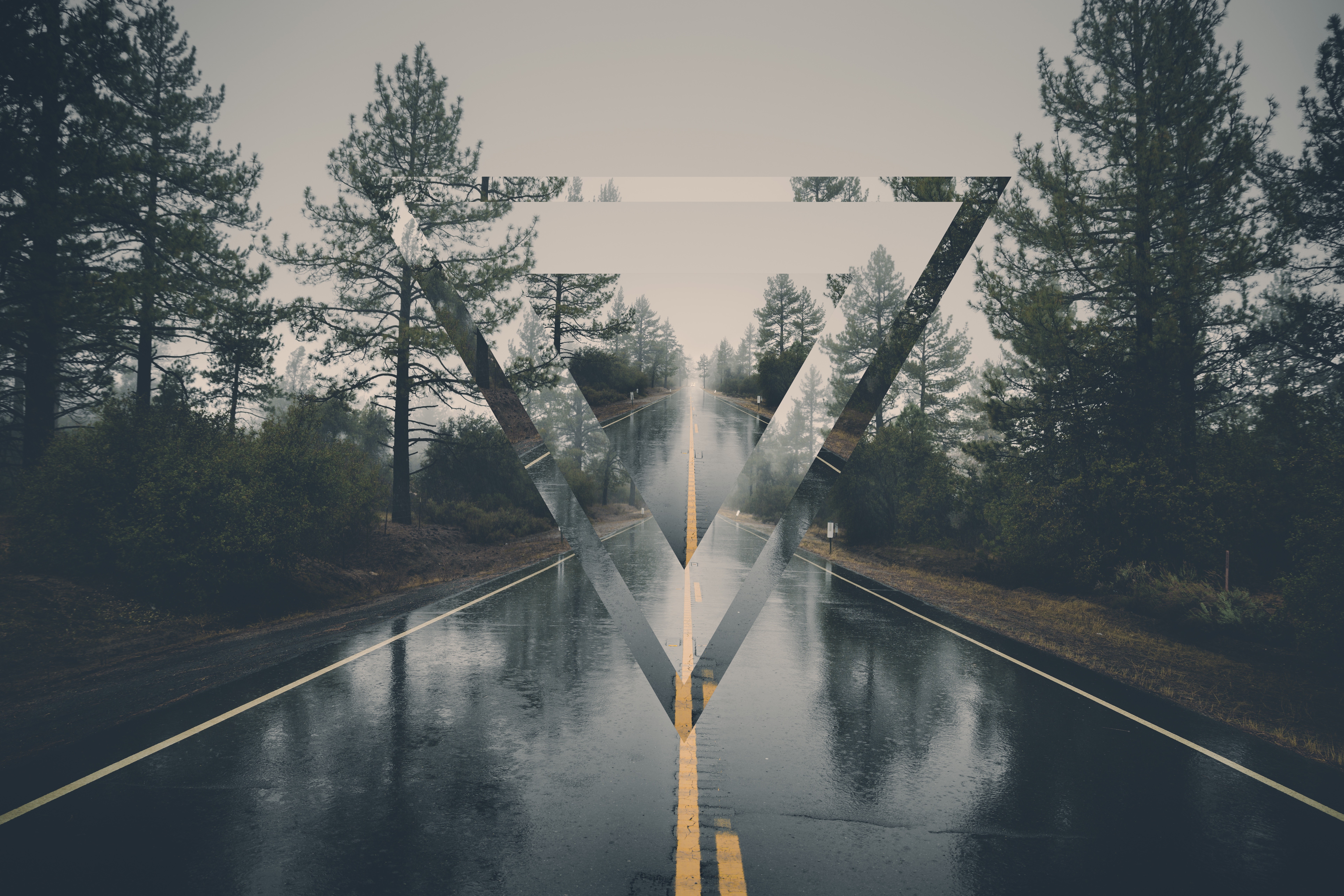 Wallpaper / polyscape, road, digital art, triangle, trees free download
