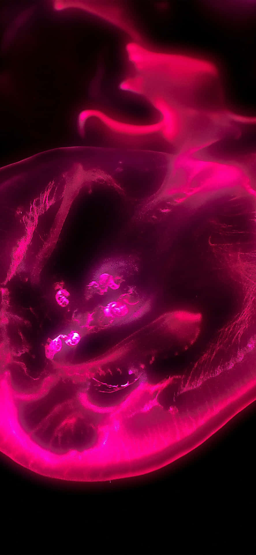 Download Aura In Black And Pink iPhone Wallpaper