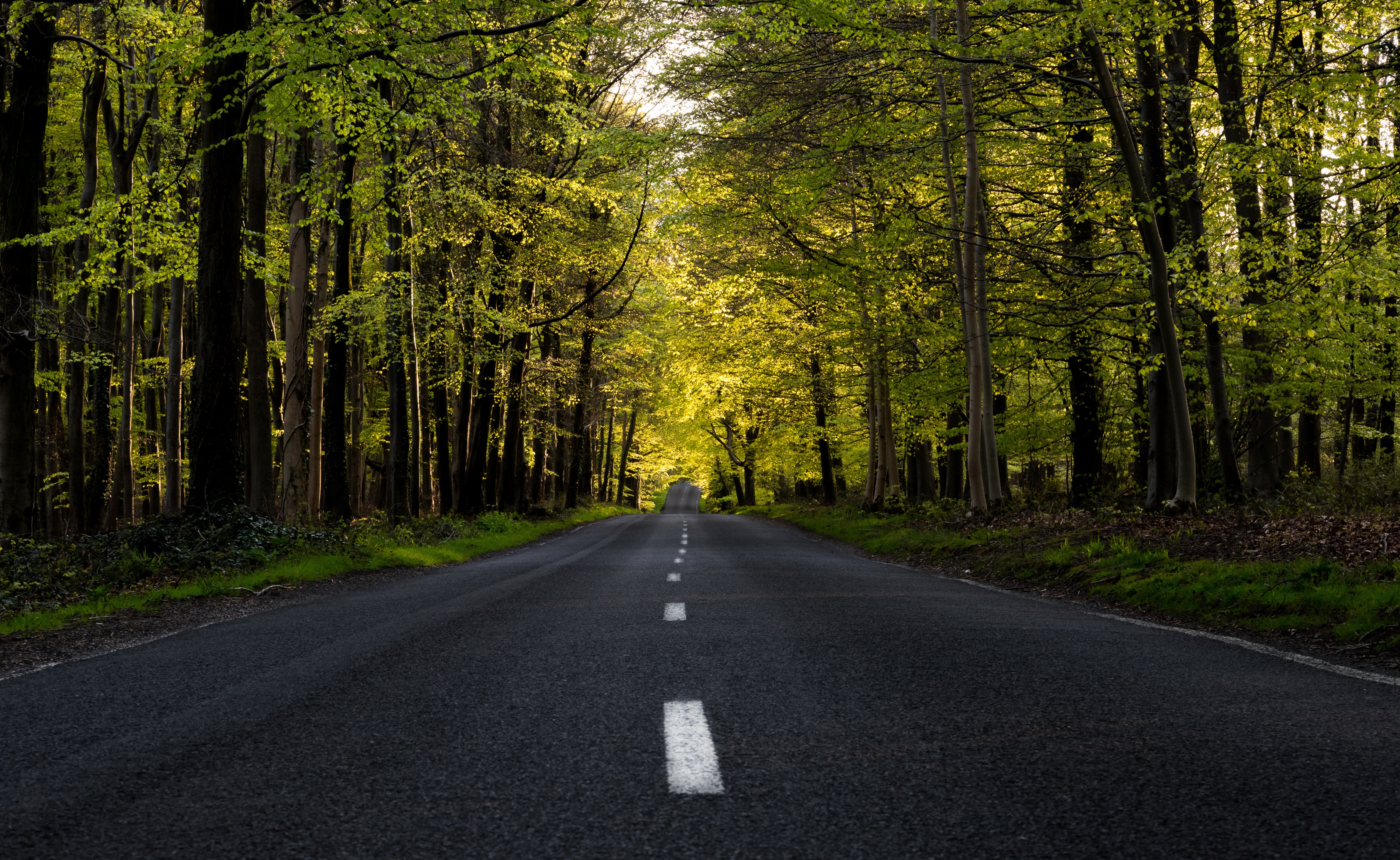 Road 4k Ultra HD Wallpaper