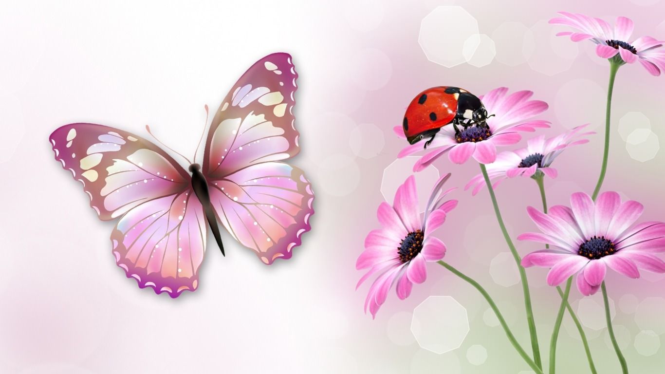 Ladybug and Butterfly Wallpaper Free Ladybug and Butterfly Background
