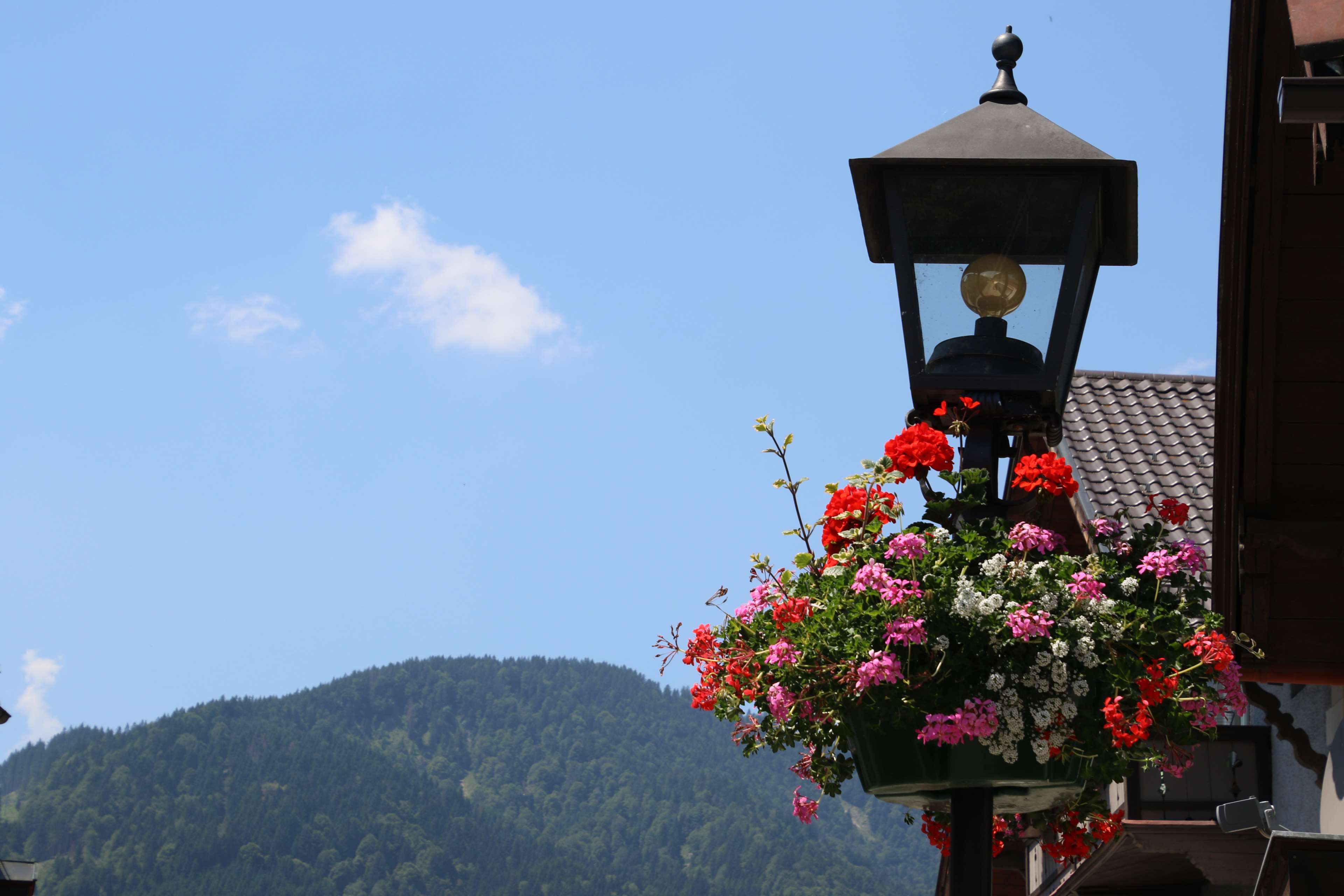 alps, flowers, light, mountain, roof, spring, street light, summer, trees 4k wallpaper