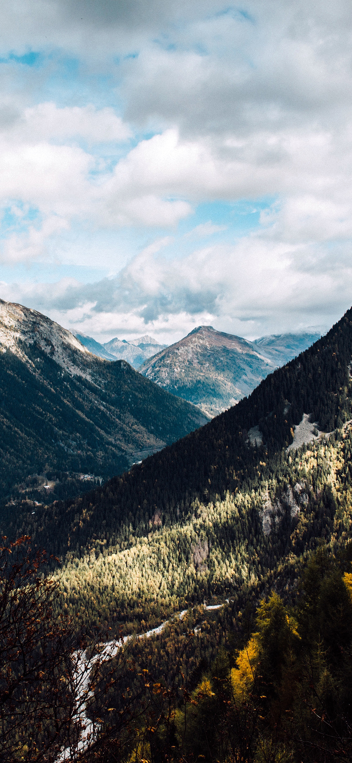 mountain forest summer wood nature