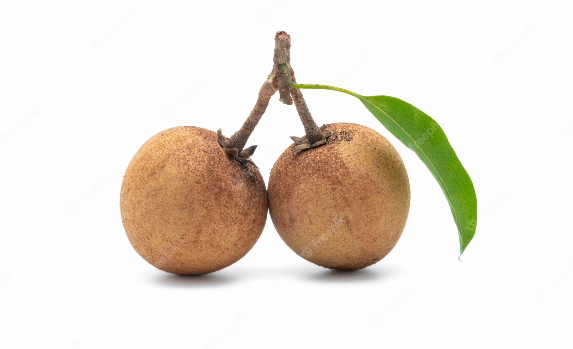 Sapodilla Wallpapers - Wallpaper Cave