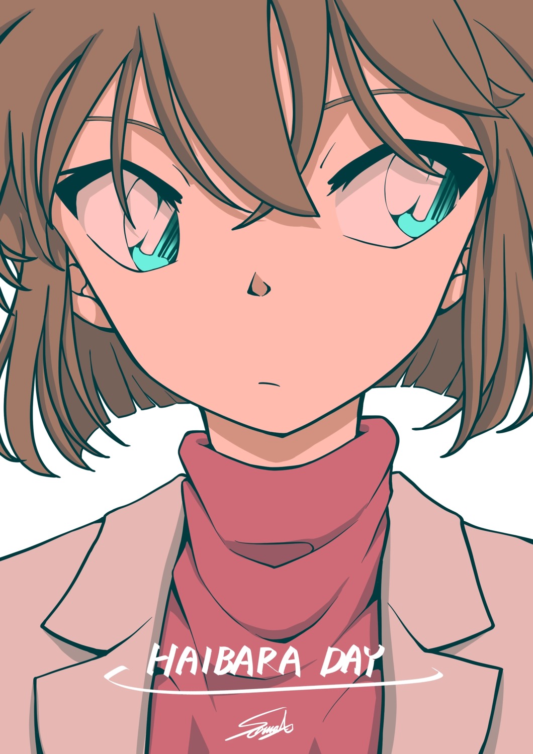 sooma4869 detective conan haibara ai