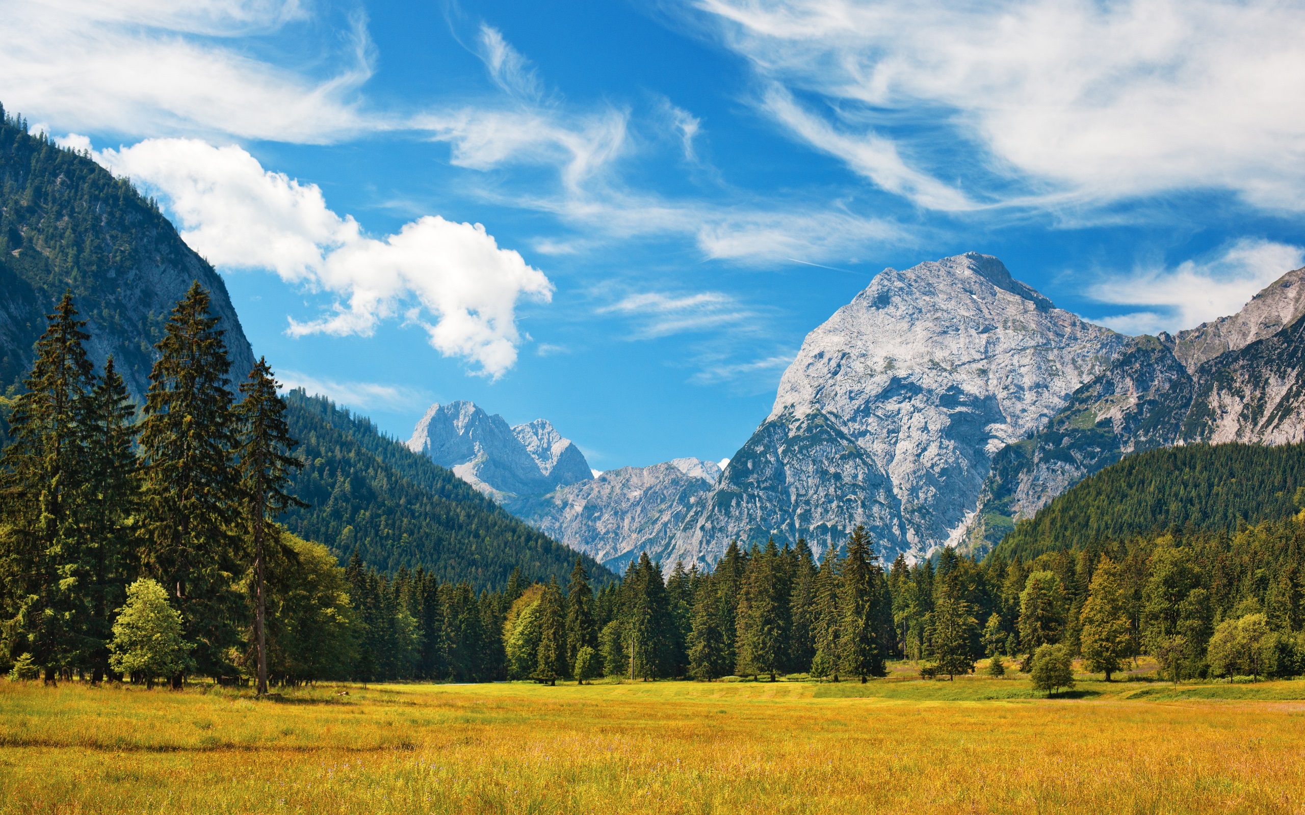 Wallpaper Bavarian Alps, grass, fields, trees, sky, clouds 2560x1600 HD Picture, Image