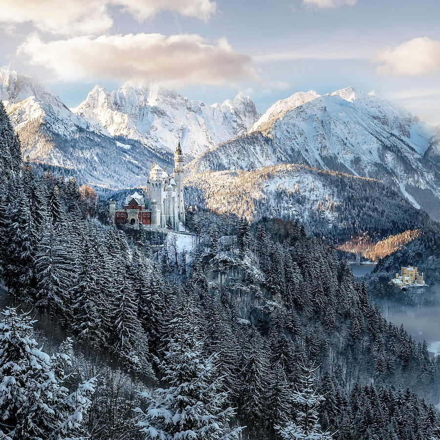 Wintry view of Neuschwanstein Castle in the Bavarian Alps, Germany Pyrography