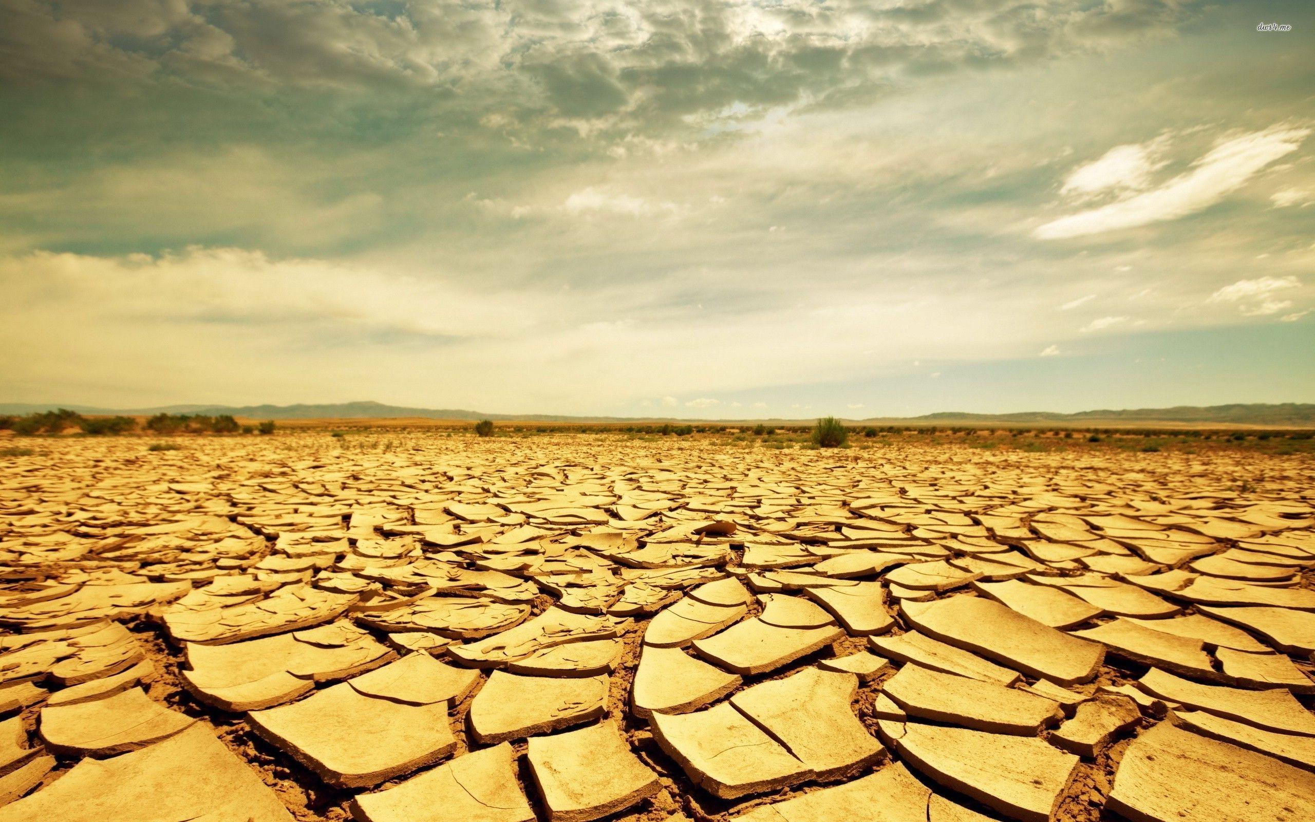 Drought Wallpaper