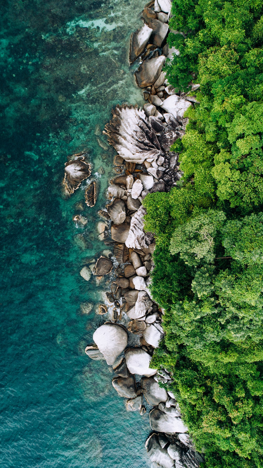 aerial photography of beach shore photo