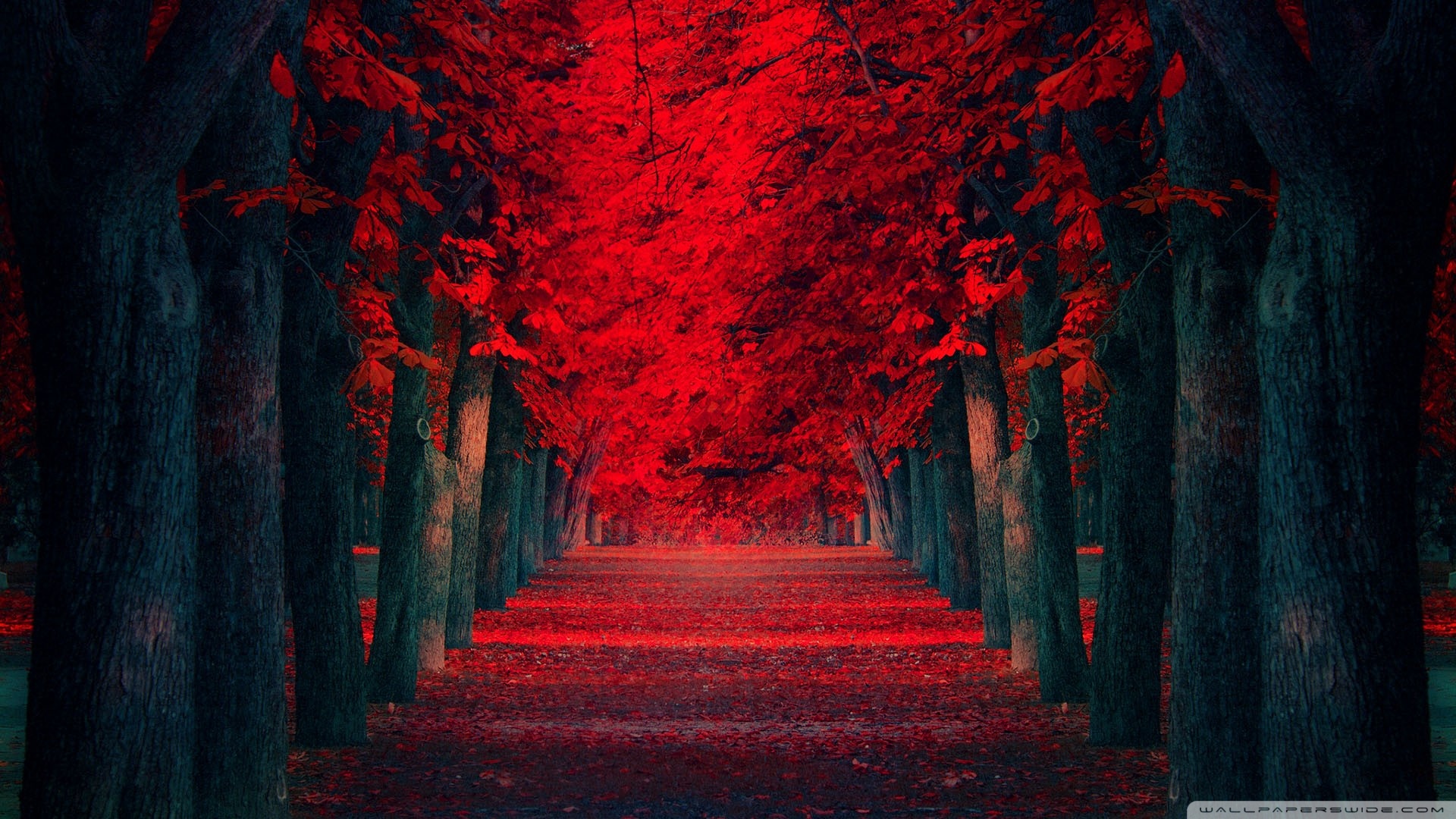 Dreamlike Ultra HD Desktop Background Wallpaper for 4K UHD TV, Widescreen & UltraWide Desktop & Laptop, Tablet