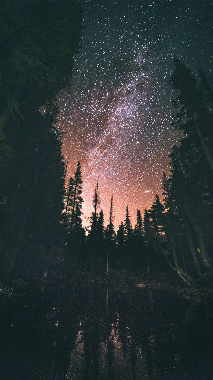 Dreams iPhone Wallpaper Free Download