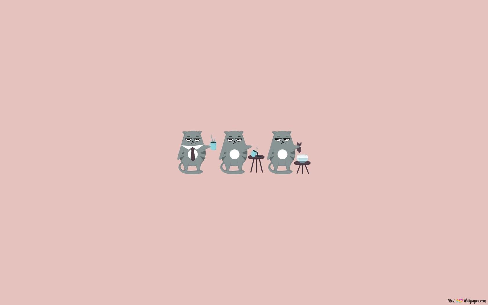 Grey Grumpy Cat, minimalist design HD wallpaper download