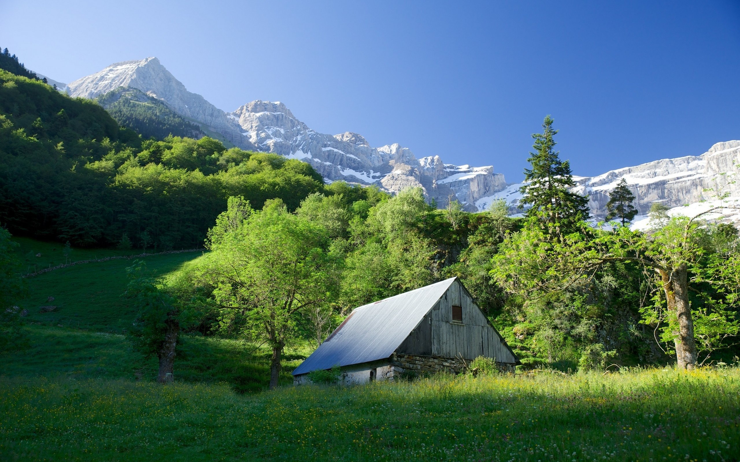 Free download Mountain forest home snow sunny wallpaper 2560x1600 248144 [2560x1600] for your Desktop, Mobile & Tablet. Explore Forest Wallpaper for Home. Forest Background, Forest Wallpaper for Computer, Wallpaper for Home