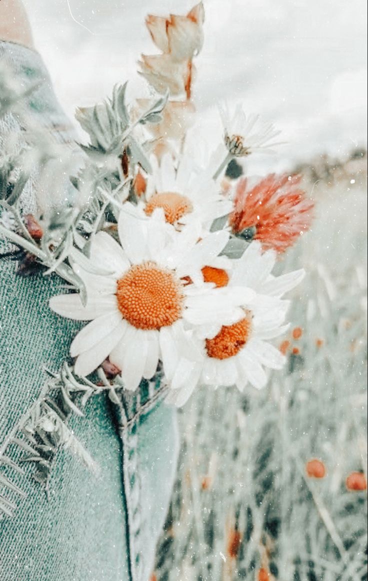 Spring Aesthetic Wallpaper - Cute Spring Background for Phone