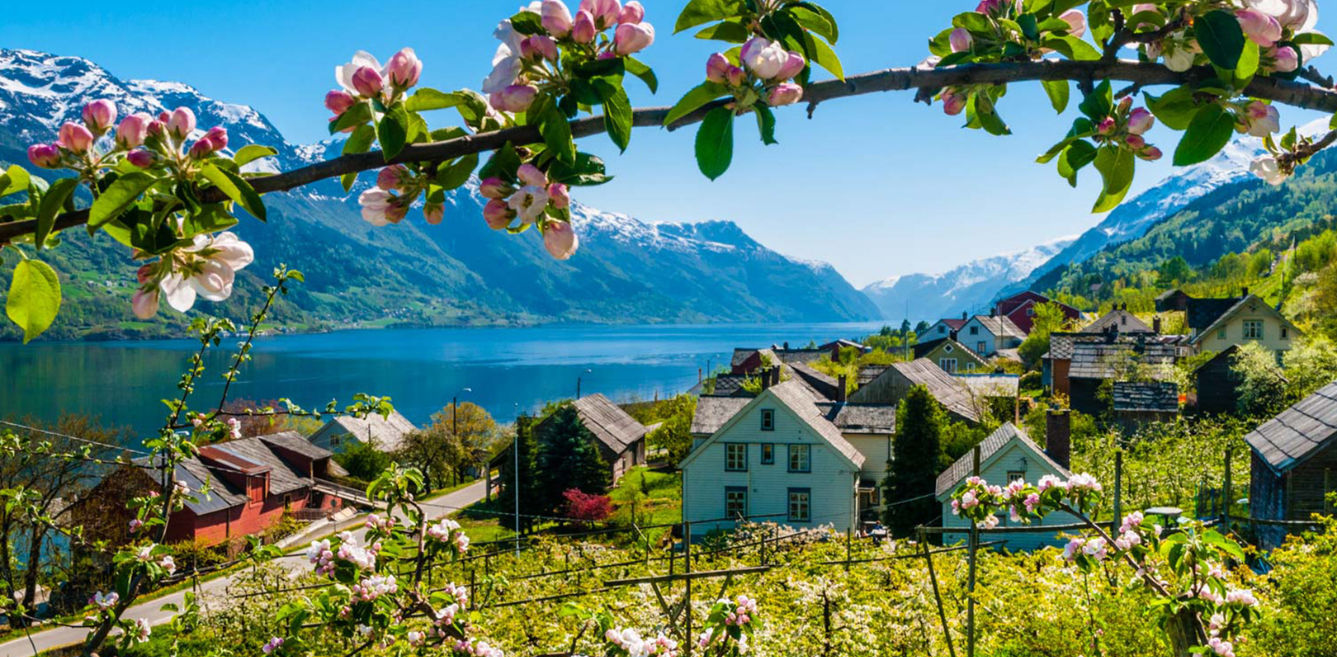 This Norway Mystery Trip Could Include Fjord Cruising And Reindeers