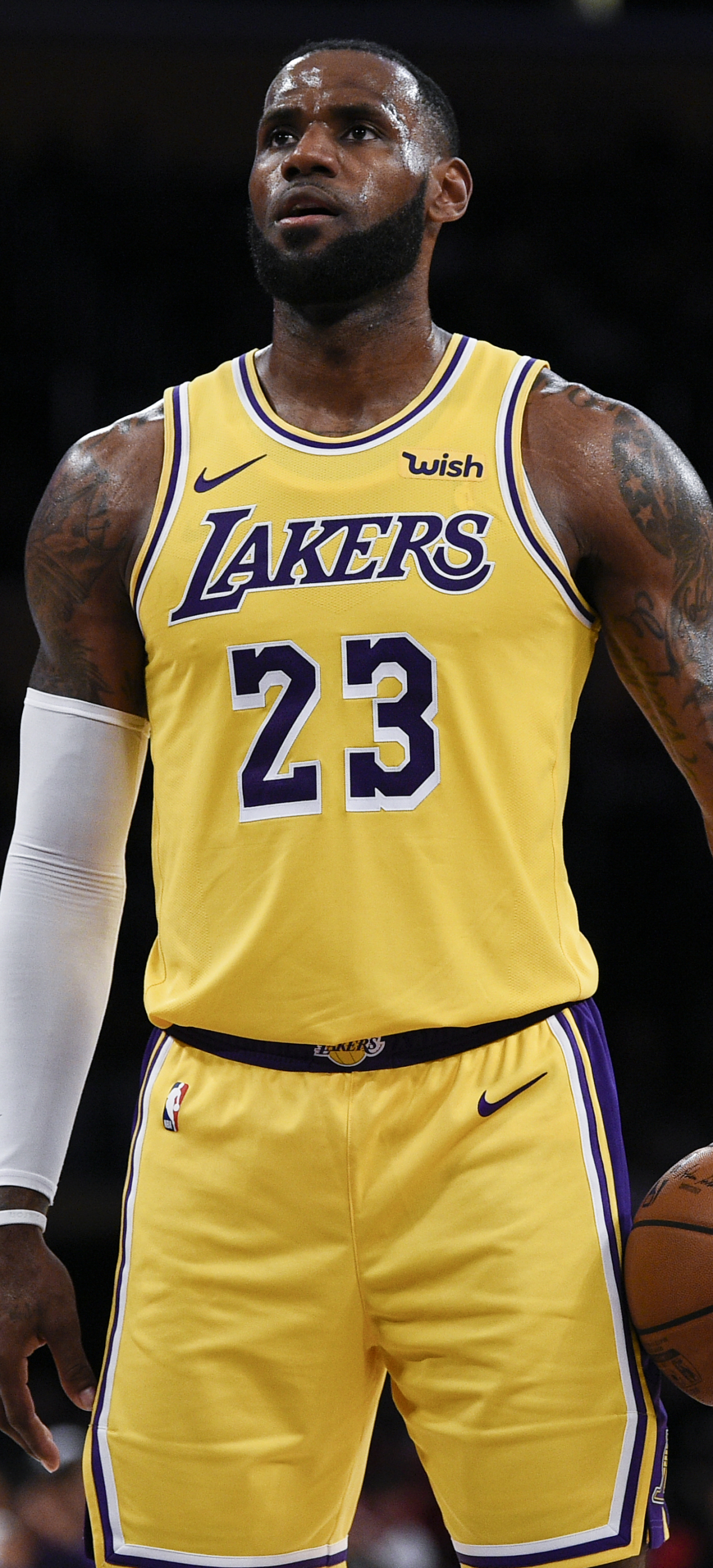 LeBron James Angeles Lakers